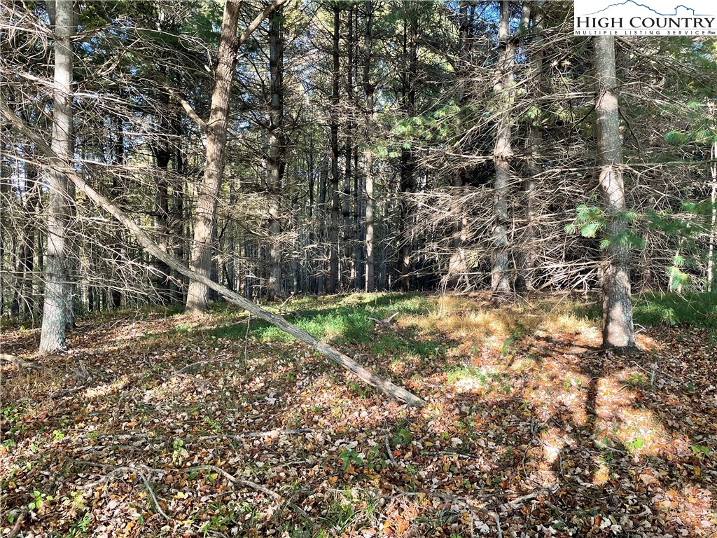 Tom Absher Road Scottville, NC 28672 - Photo 10 of 14 a backyard of a house with lots of green space