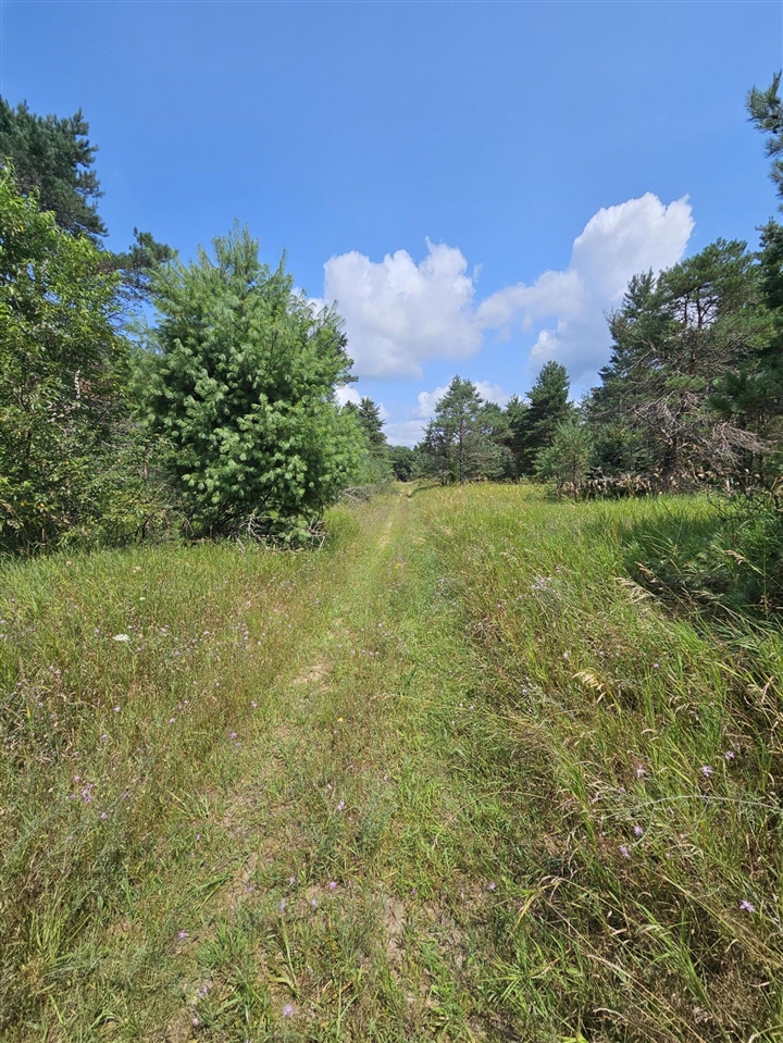 14 Mile Road Kingsley, MI 49649 - Photo 2 of 3