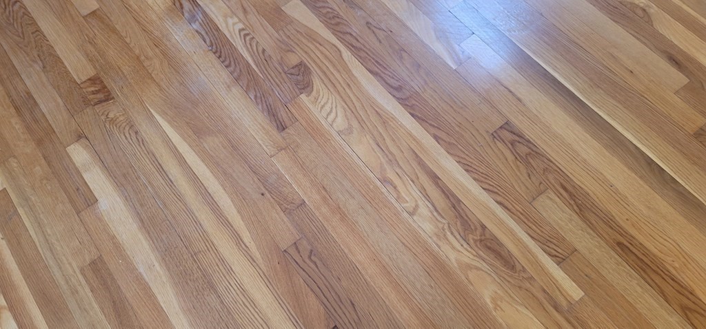 30 Miscoe Road Worcester, MA 01604 - Photo 27 of 42 Gallery Image 27