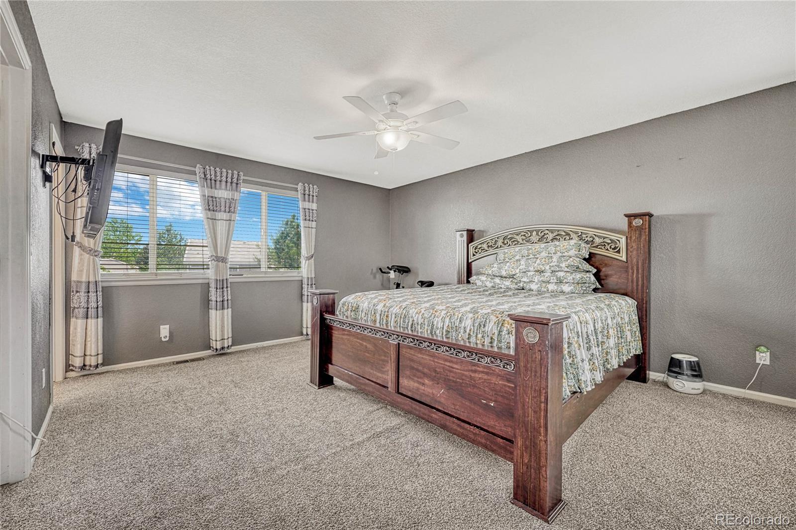 10174 Fawnbrook Lane Highlands Ranch, CO 80130 - Photo 18 of 49 Gallery Image 18