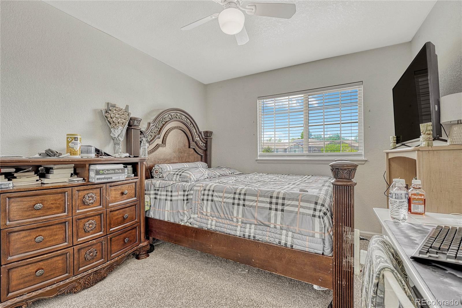 10174 Fawnbrook Lane Highlands Ranch, CO 80130 - Photo 29 of 49 Gallery Image 29