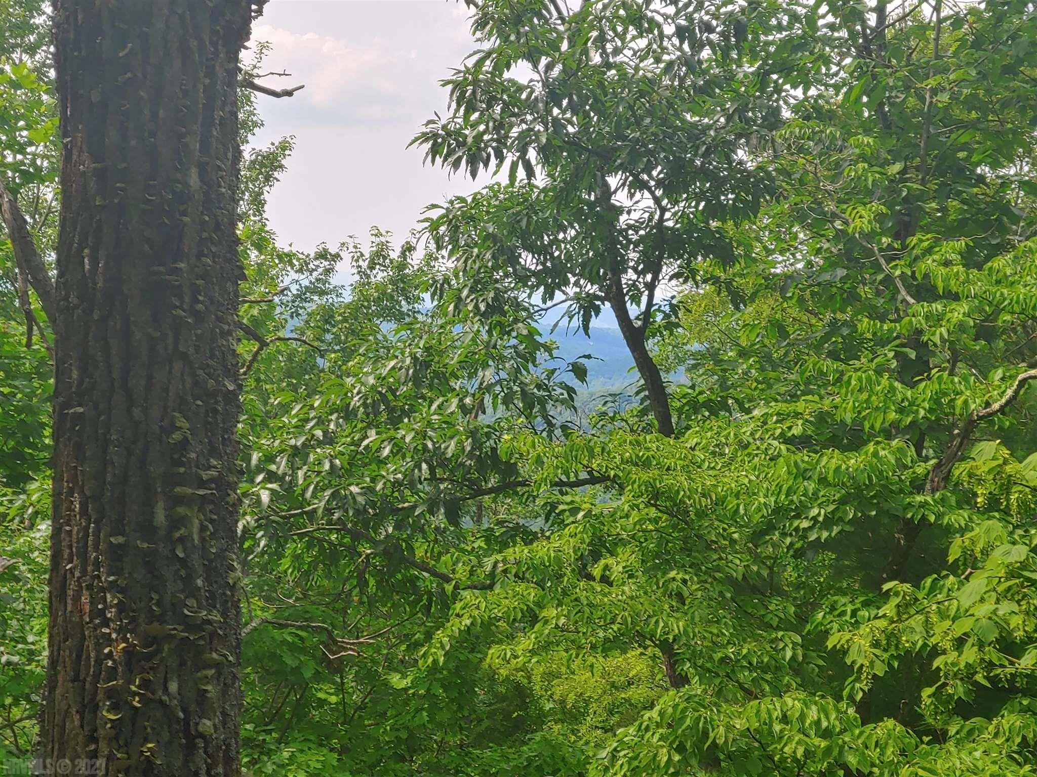 0 Fishers View Road Shawsville, VA 24162 - Photo 4 of 7 Gallery Image 4