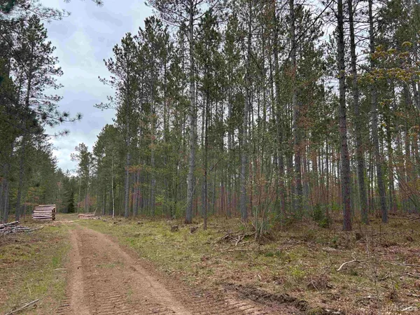 $22,900 | Tbd Parcel 3 Paint River Road, Crystal Falls, MI 49920