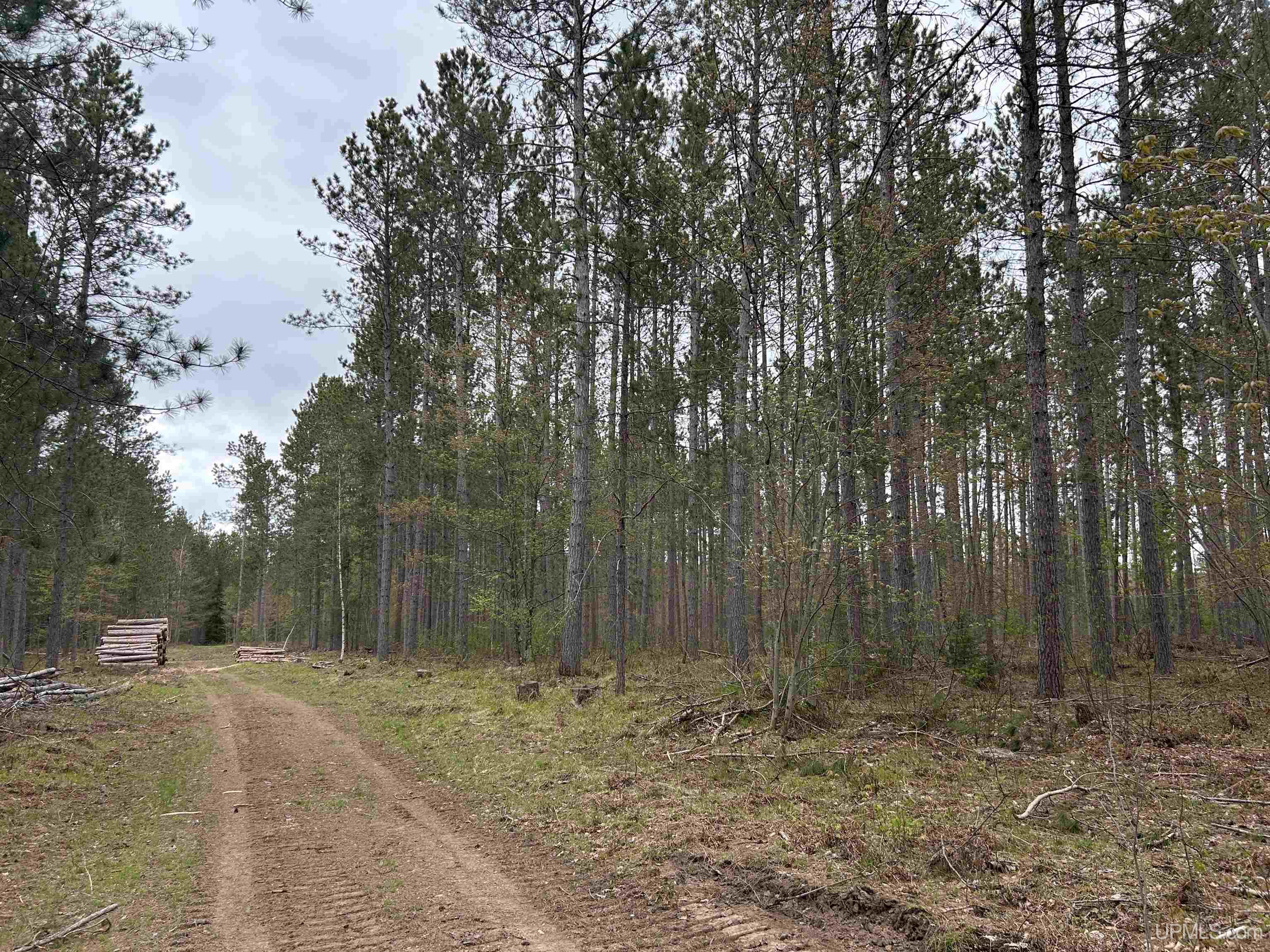 Tbd Parcel 3 Paint River Road Crystal Falls, MI 49920 - Photo 1 of 9