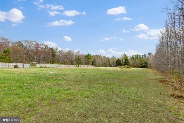 a view of a field with an trees