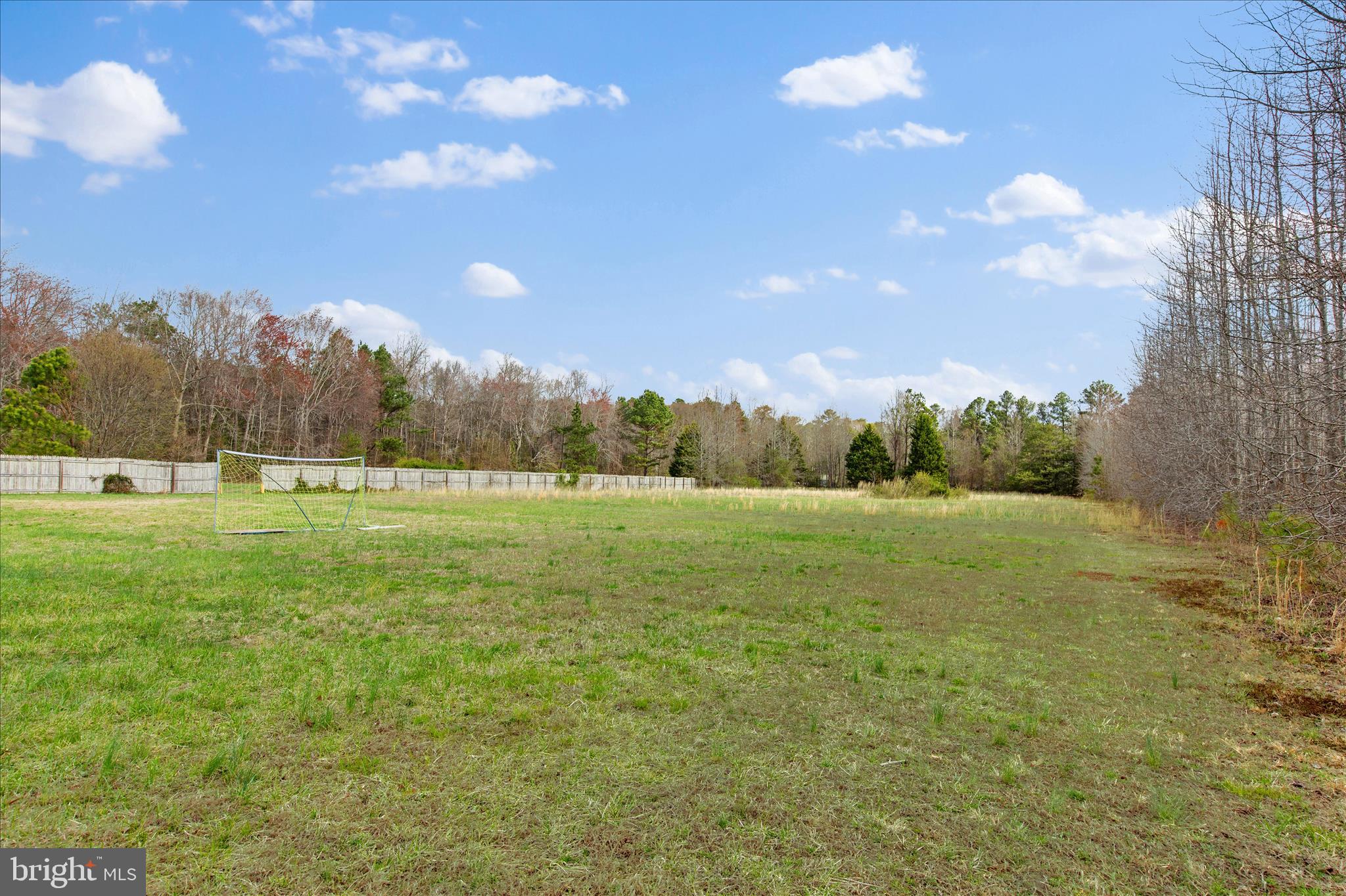 14477 Deer Forest Road Bridgeville, DE 19933 - Photo 14 of 22 a view of a field with an trees