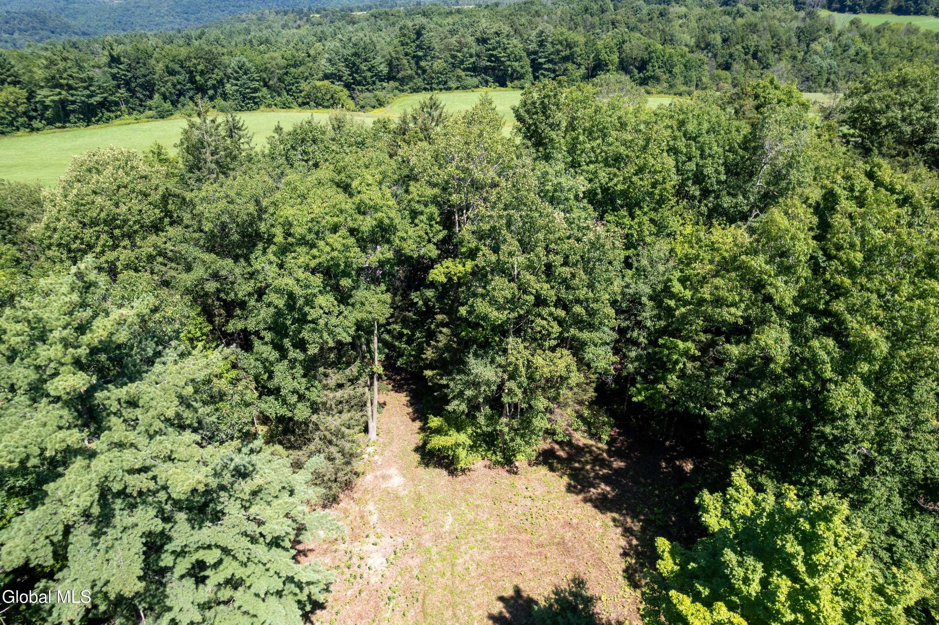 106 Hilltop Road Root, NY 12166 - Photo 65 of 65 31-106 Hlltop Drone