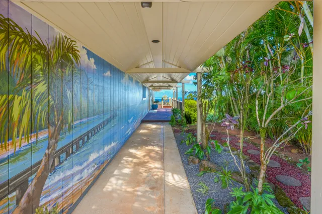 a view of a backyard with potted plants