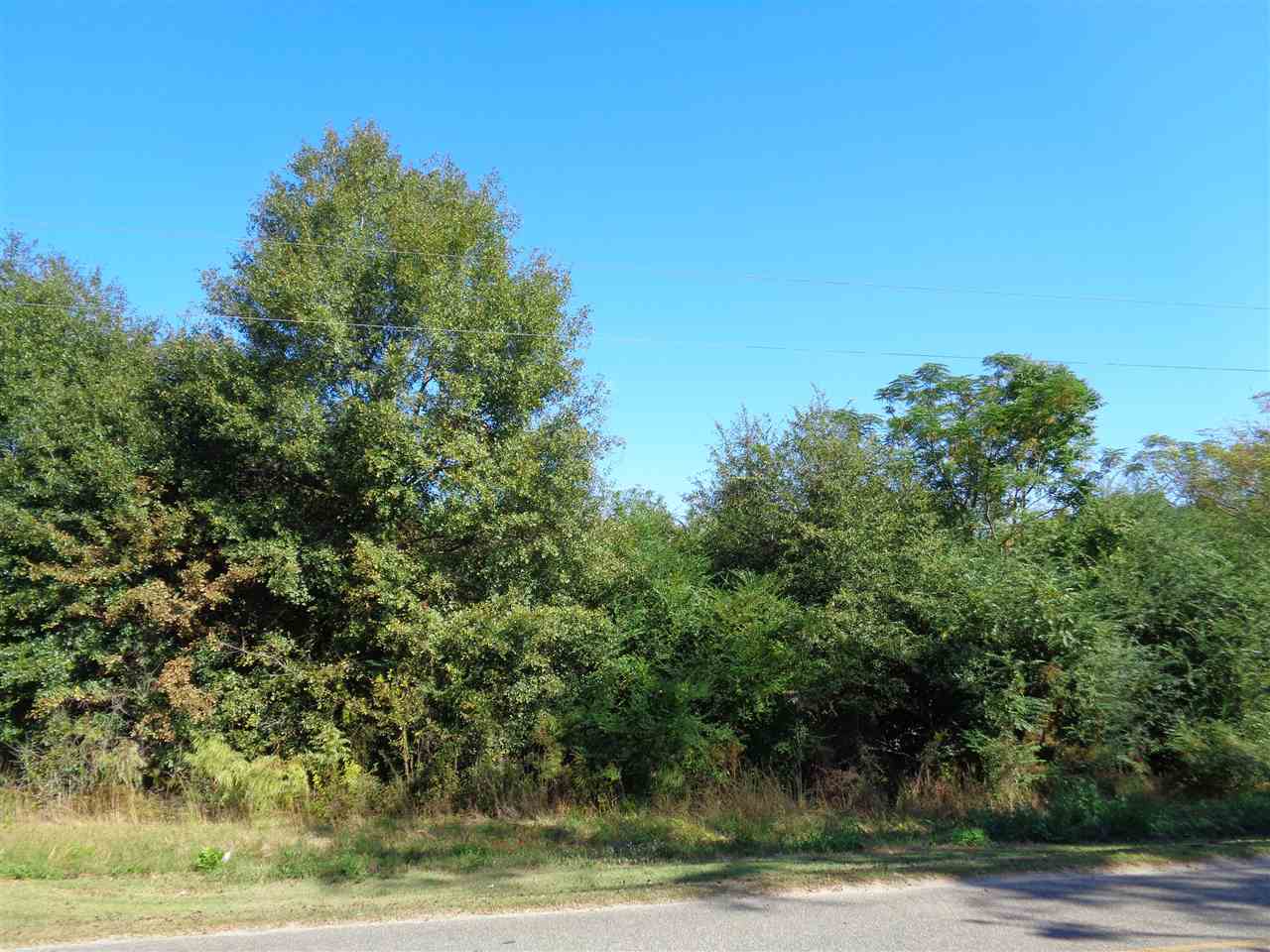 0 Poarch Road Atmore, AL 36502 - Photo 1 of 1