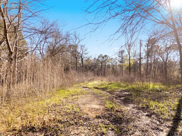 a view of city and mountain