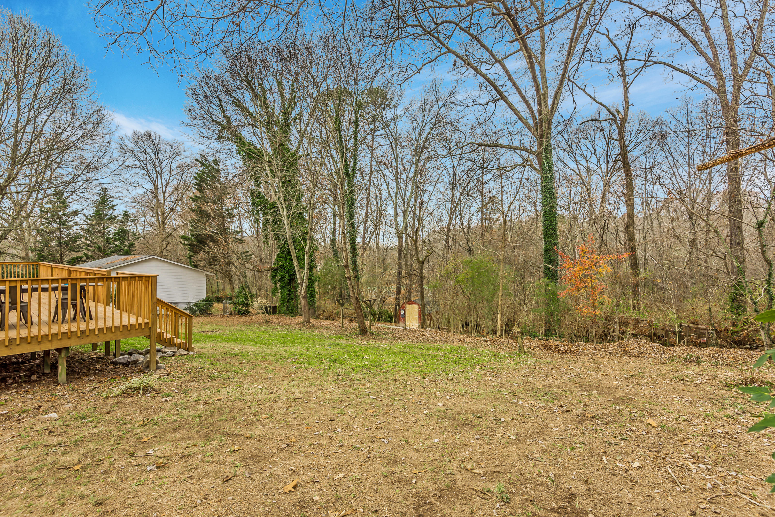 8015 Shady Lane Powell, TN 37849 - Photo 30 of 38 8015shadyln-29