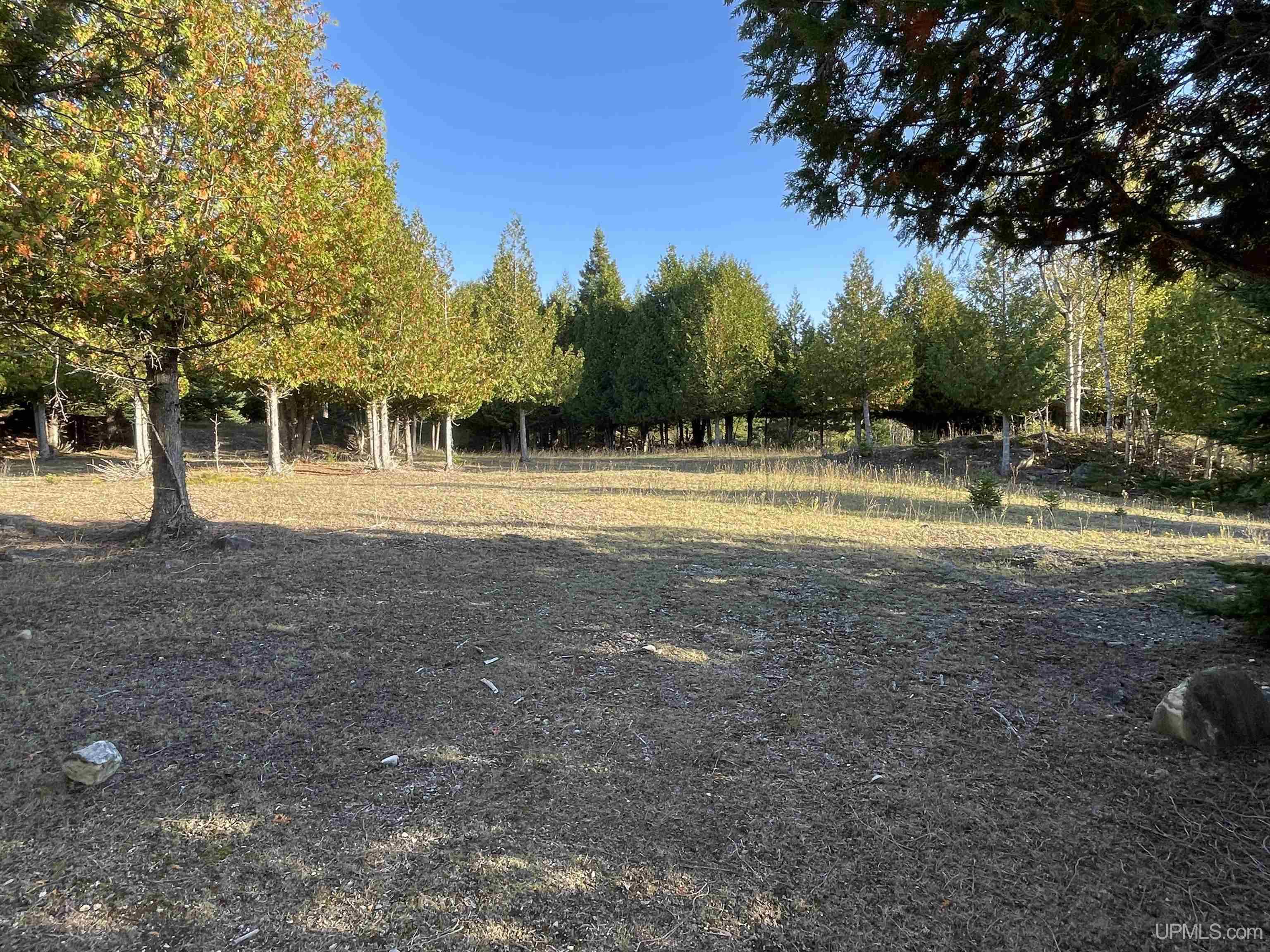 40-acres County Pit Road, Unit PARCEL #2 Manistique, MI 49854 - Photo 15 of 51 Gallery Image 15