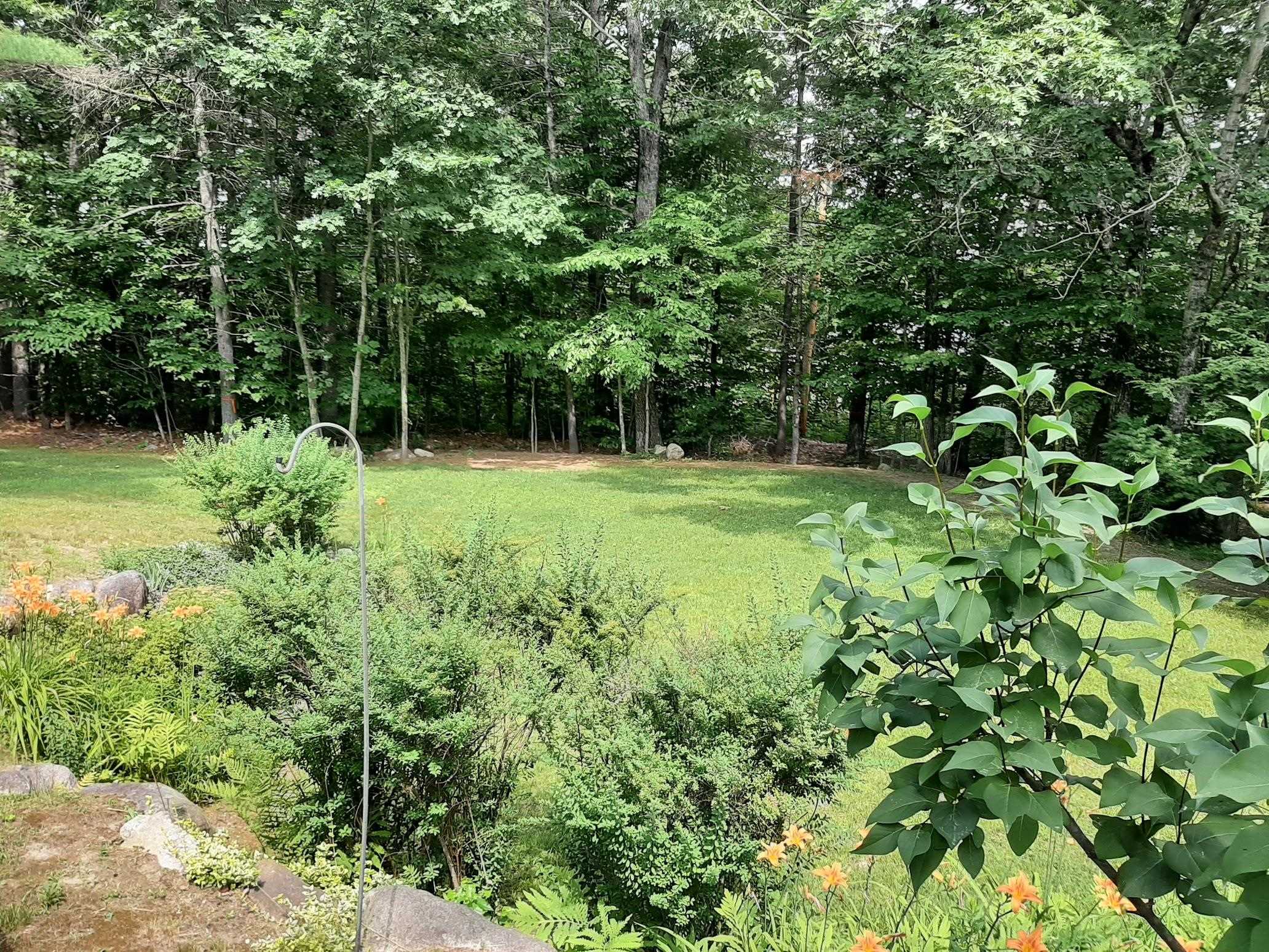 43 Wildwood Way Conway, NH 03813 - Photo 5 of 33