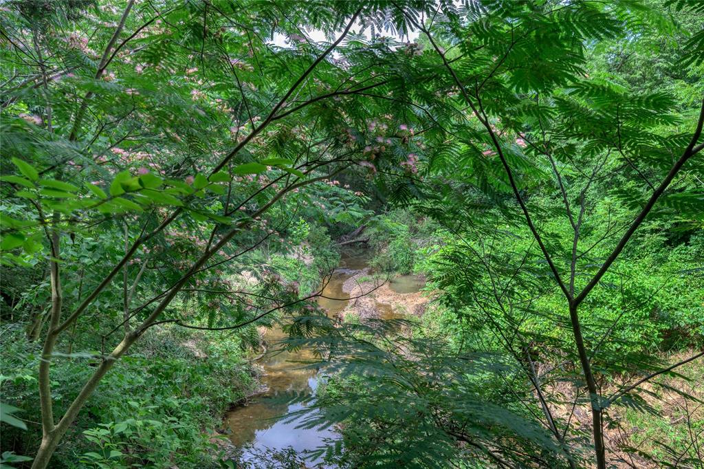 Tbd Cross Timber Estates Drive Denison, TX 75021 - Photo 14 of 15 a view of a lush green forest with lots of trees