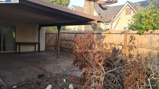 a view of a backyard