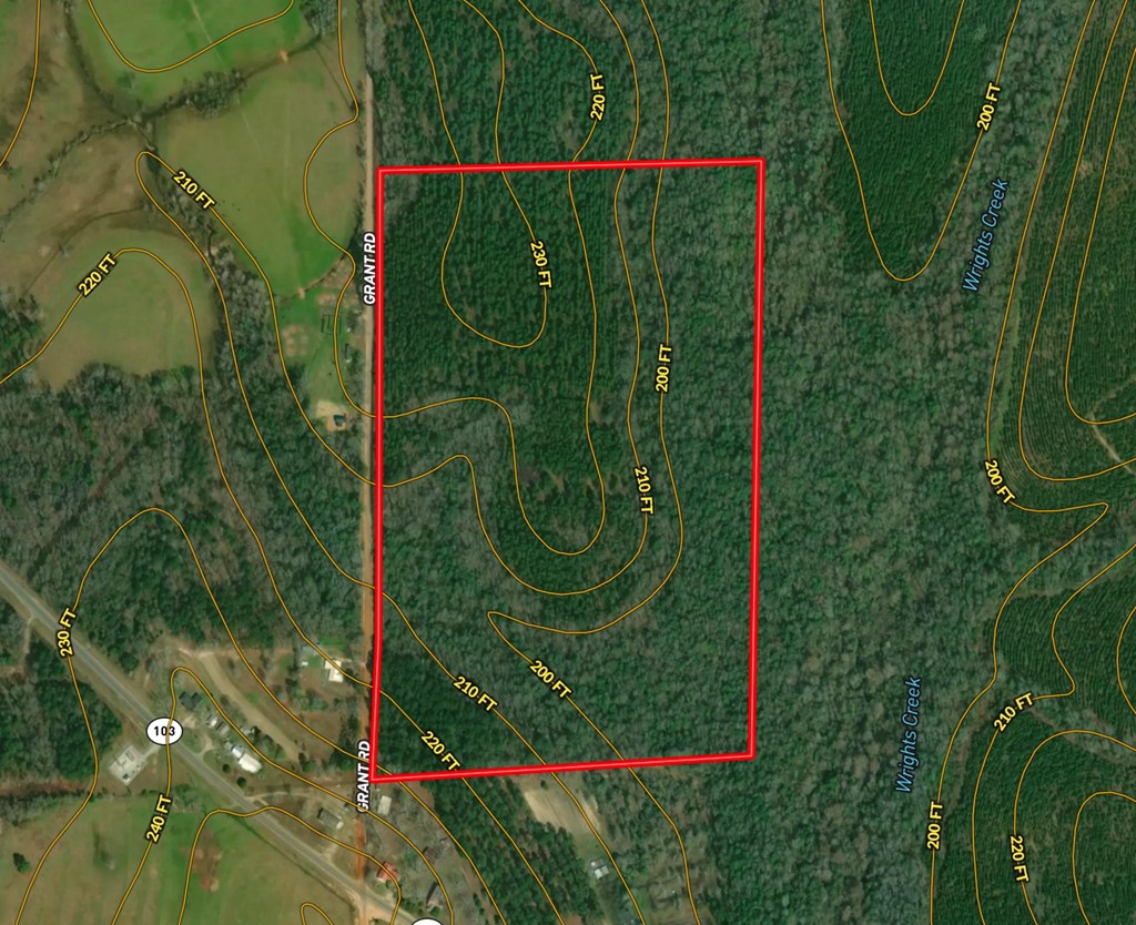 Undisclosed Address Slocomb, AL 36375 - Photo 20 of 23