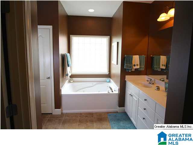 464 Sunset Lake Circle Chelsea, AL 35043 - Photo 11 of 19