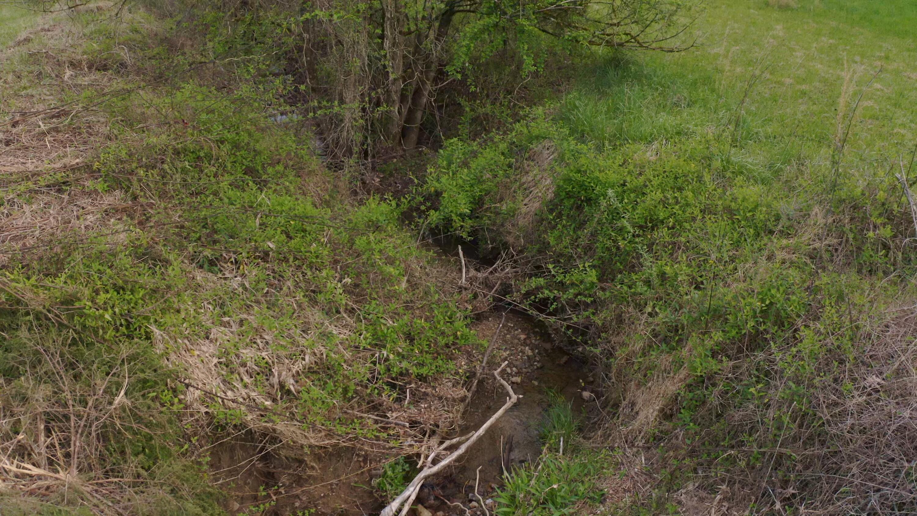 7600 Caney Valley Road Tazewell, TN 37879 - Photo 19 of 41 Untitled_1.1.3