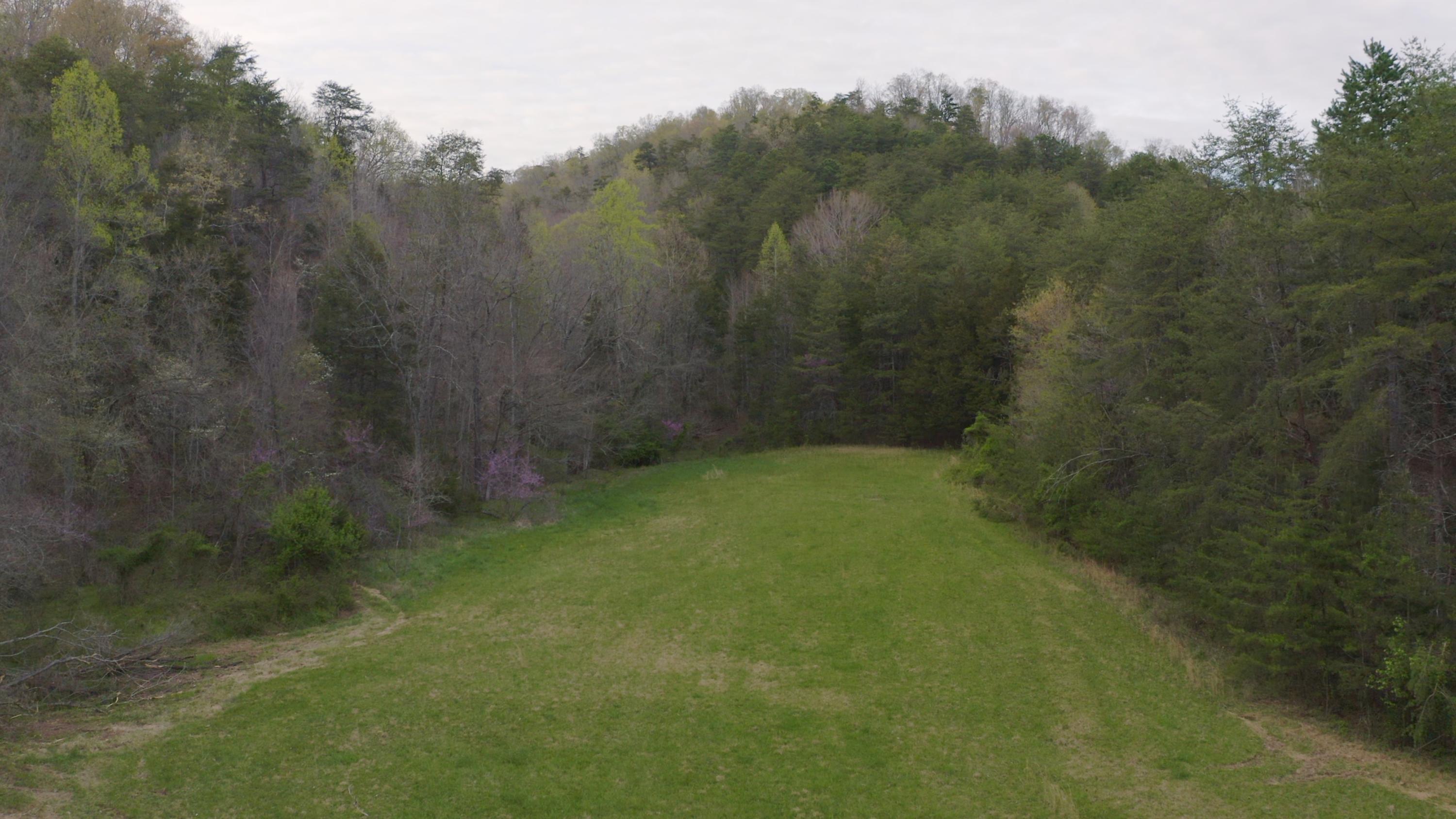 7600 Caney Valley Road Tazewell, TN 37879 - Photo 21 of 41 Untitled_1.1.6