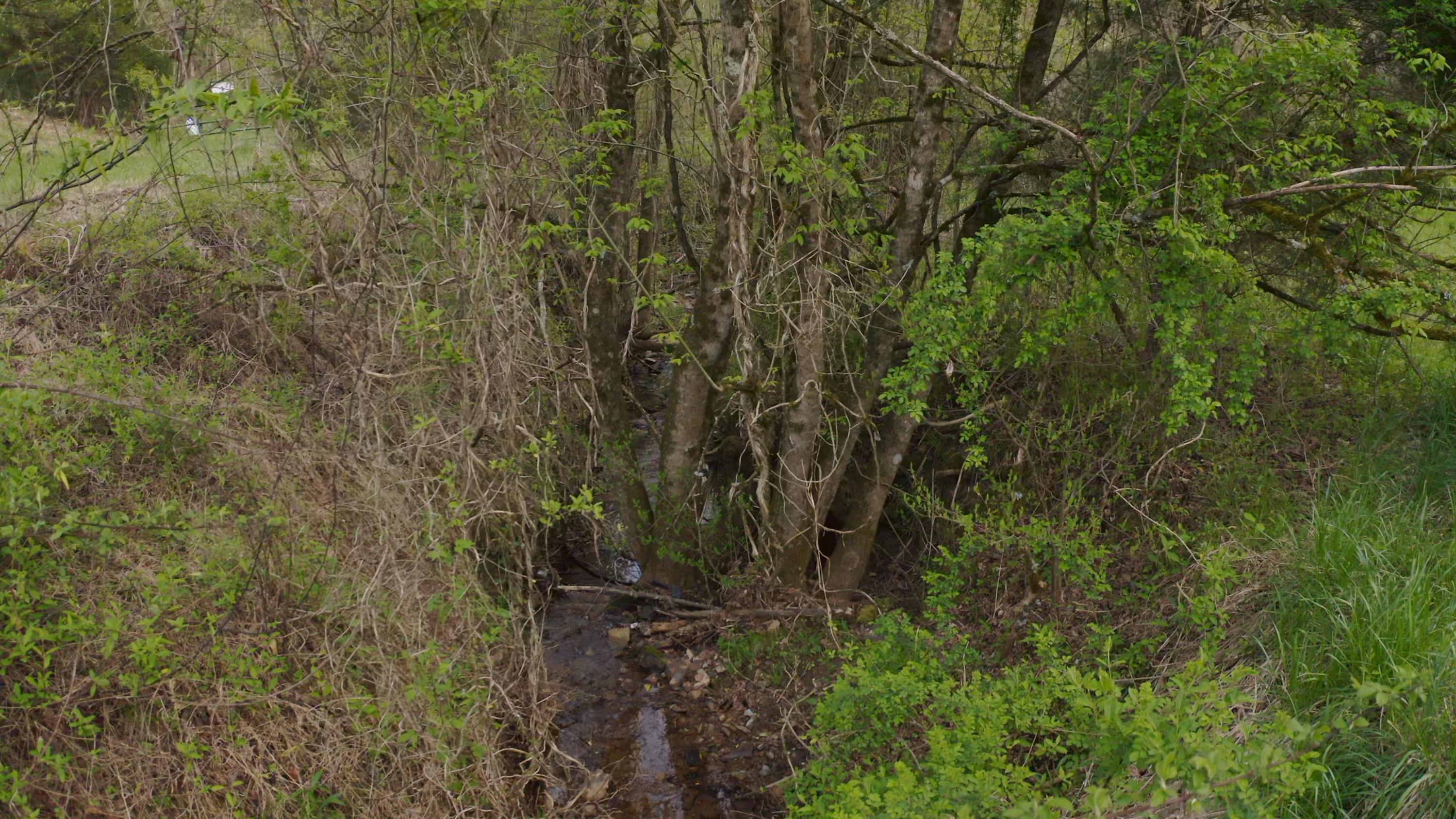 7600 Caney Valley Road Tazewell, TN 37879 - Photo 23 of 41 Untitled_1.1.11
