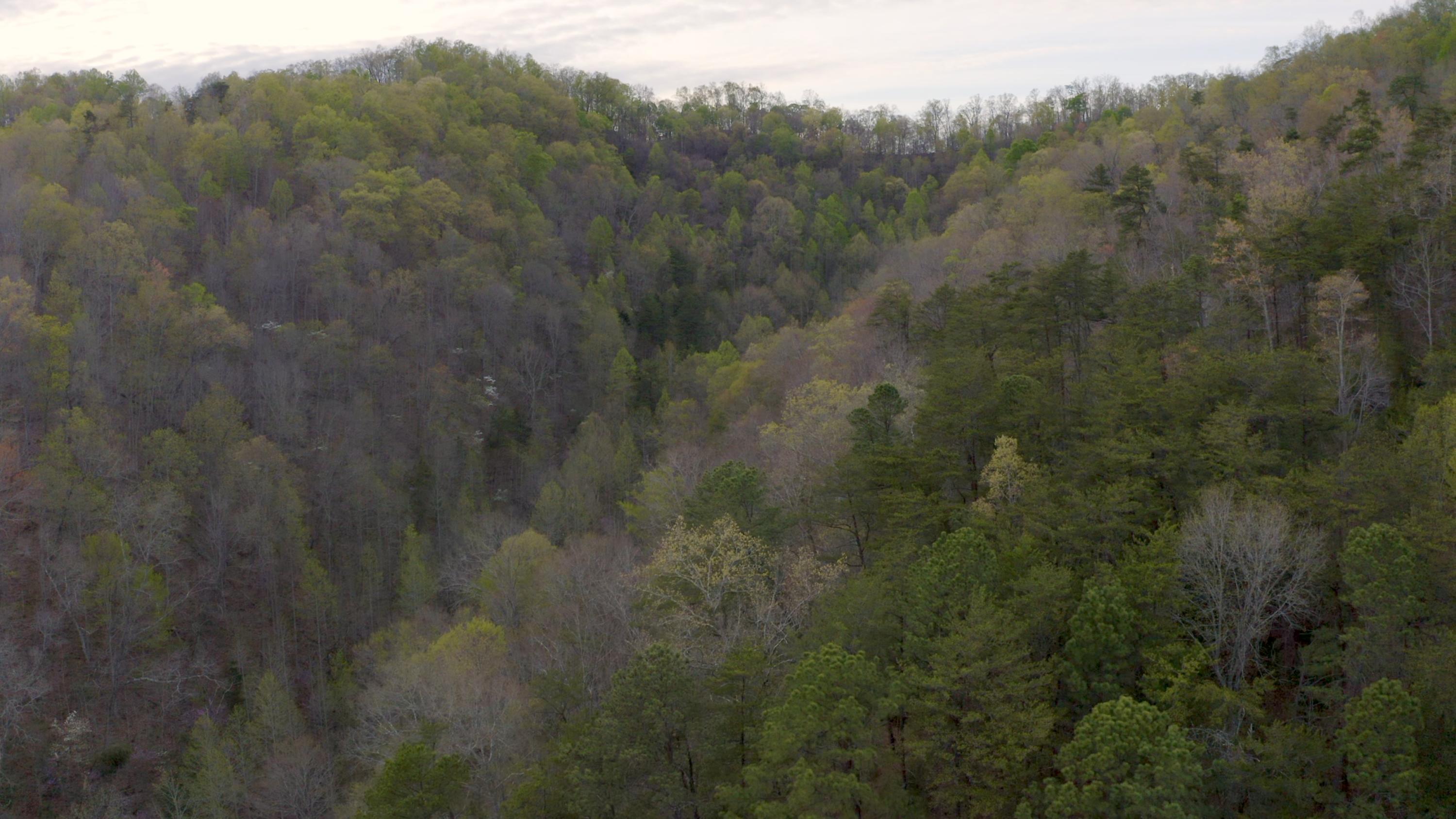 7600 Caney Valley Road Tazewell, TN 37879 - Photo 27 of 41 Untitled_1.3.1