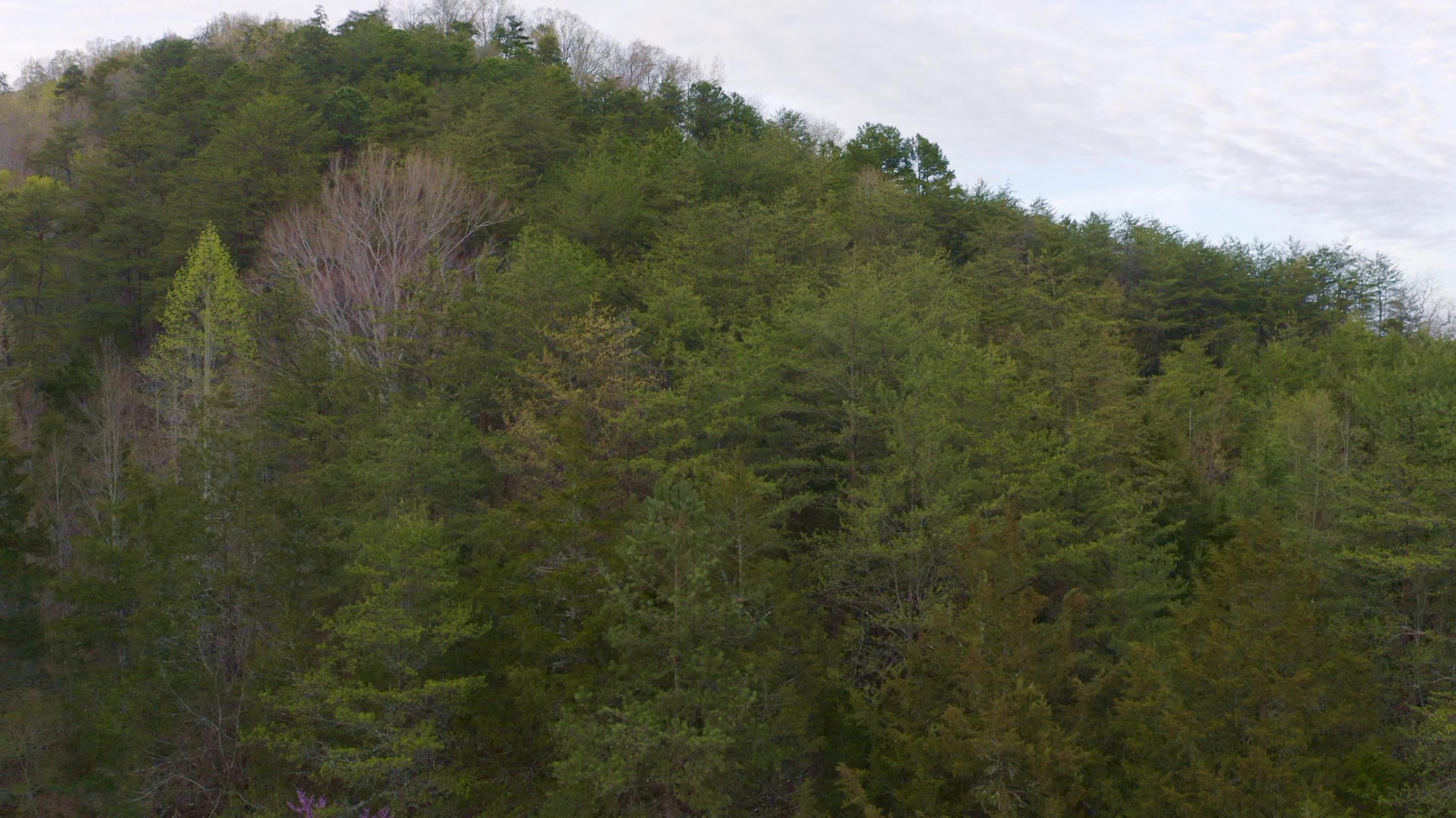 7600 Caney Valley Road Tazewell, TN 37879 - Photo 28 of 41 Untitled_1.3.2