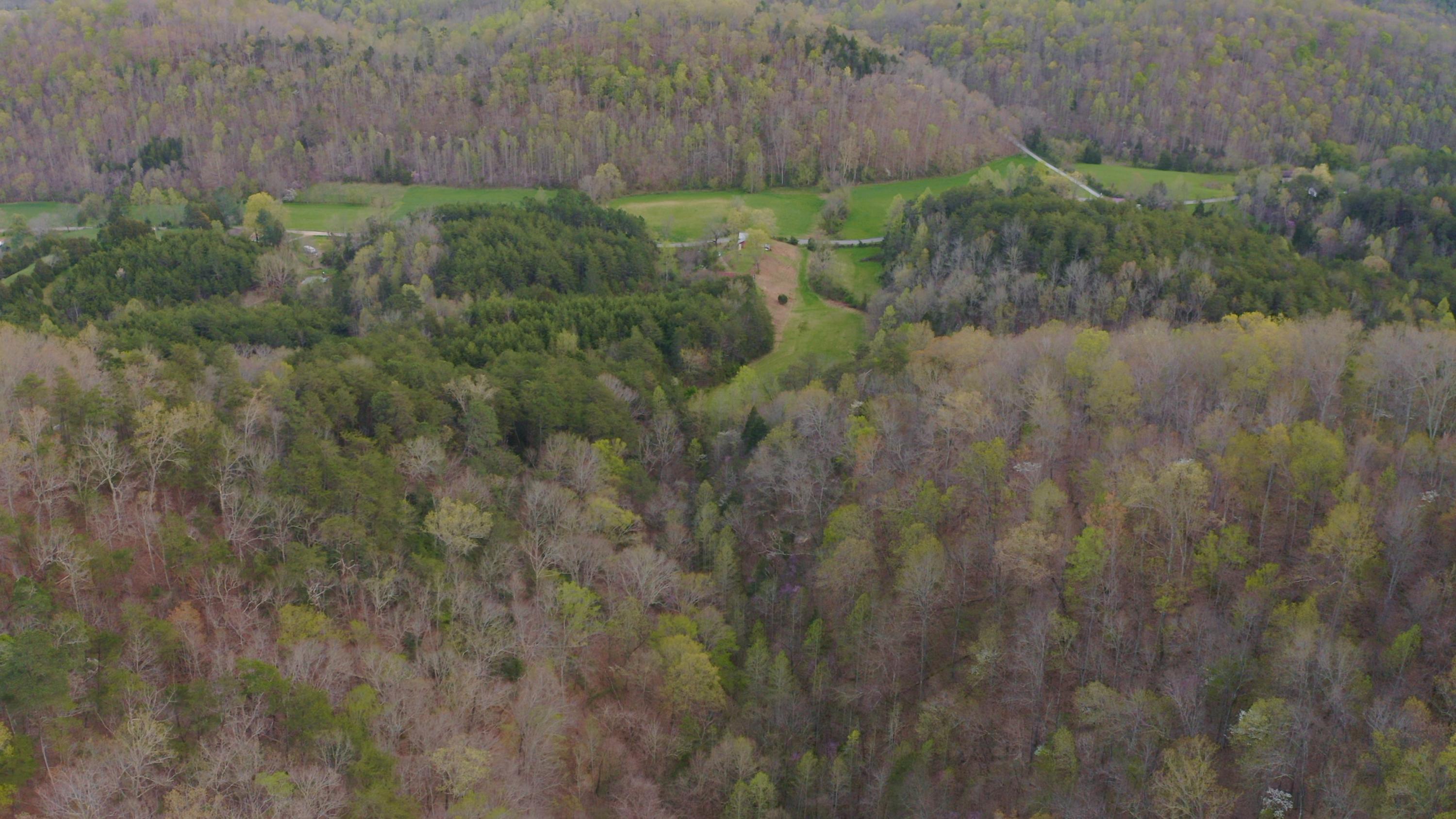 7600 Caney Valley Road Tazewell, TN 37879 - Photo 31 of 41 Untitled_1.5.1