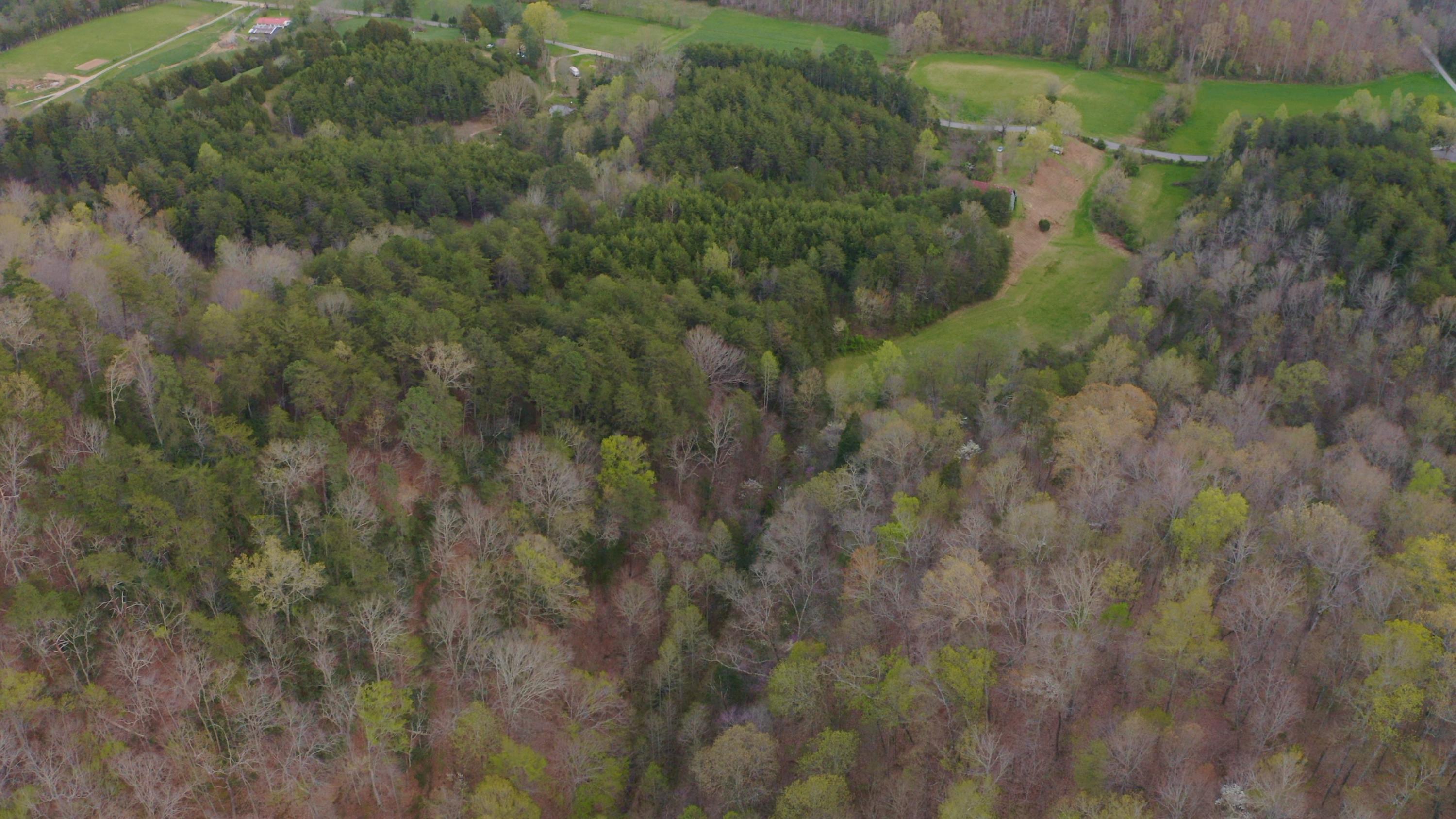 7600 Caney Valley Road Tazewell, TN 37879 - Photo 32 of 41 Untitled_1.5.2