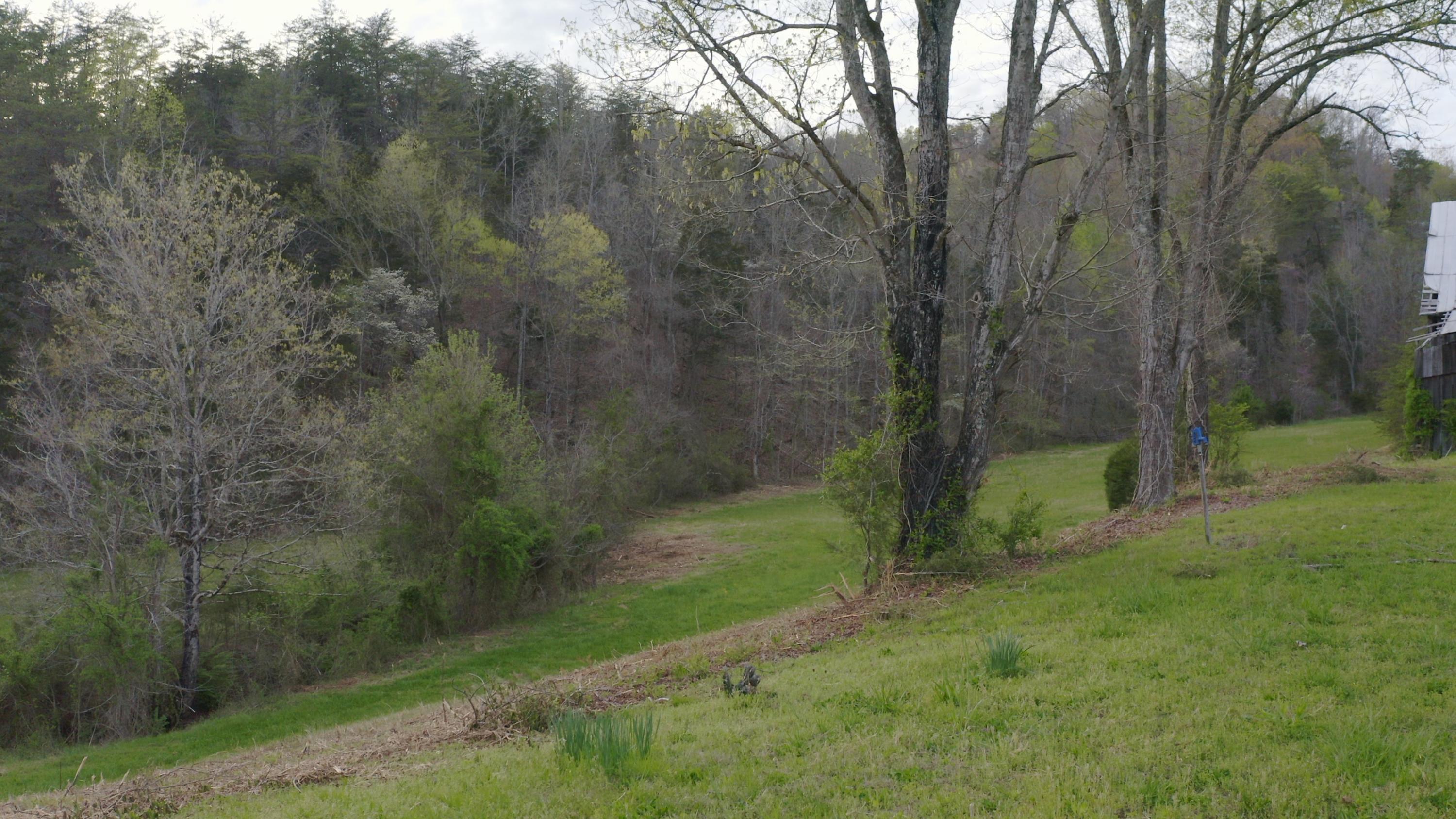 7600 Caney Valley Road Tazewell, TN 37879 - Photo 37 of 41 Untitled_2.3.1
