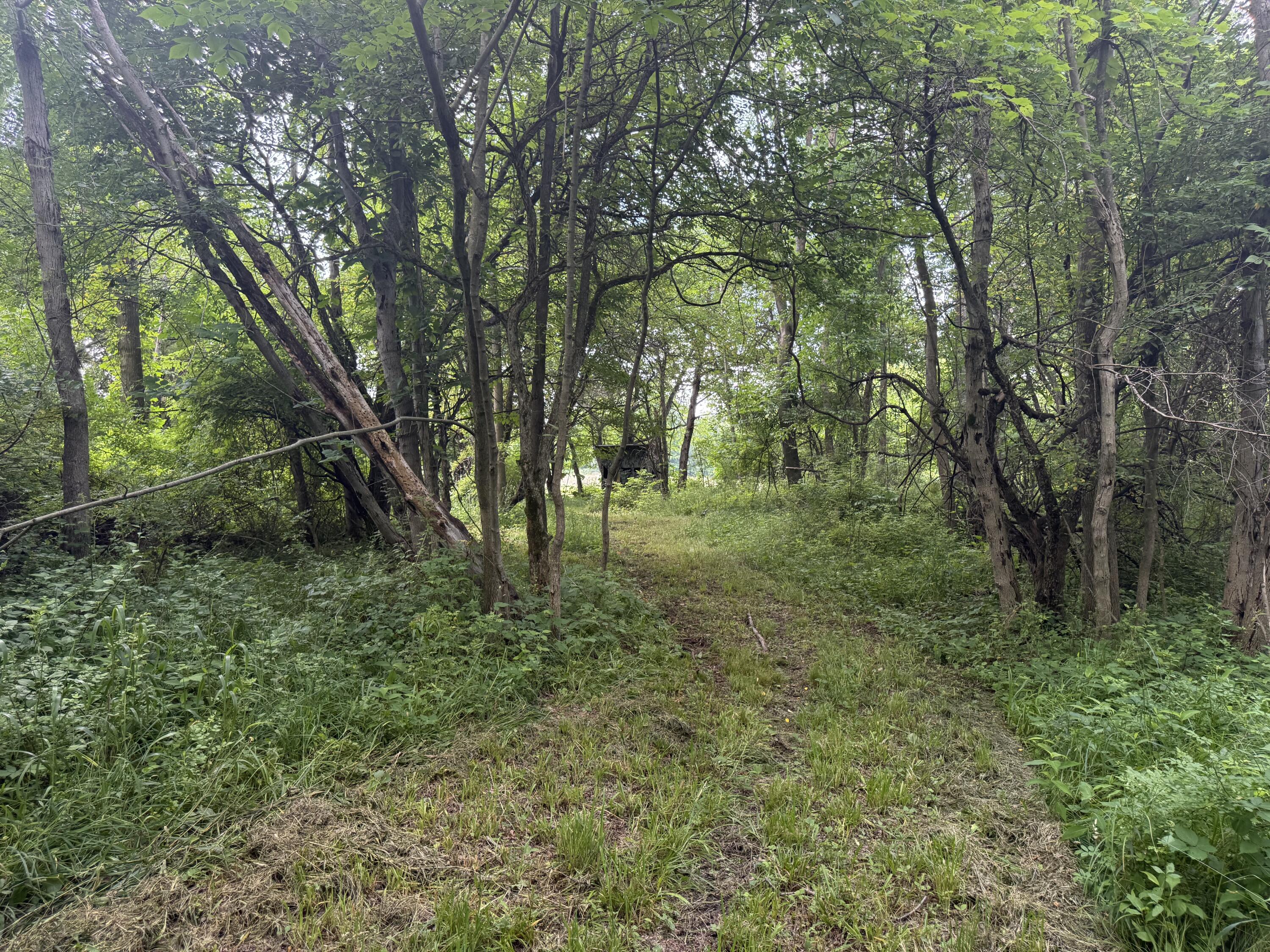Hagerman Road Leonard, MI 48367 - Photo 30 of 51 m