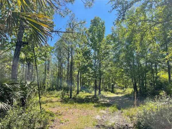 $105,000 | Harrison Road, Mims, FL 32754