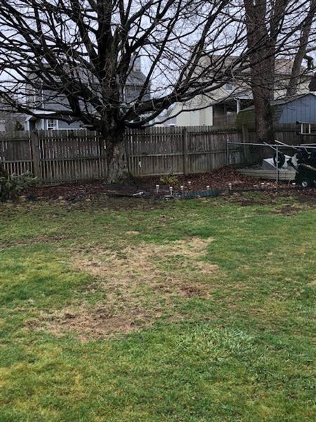 111 Williams Street Springdale, PA 15144 - Photo 23 of 24 Gallery Image 23