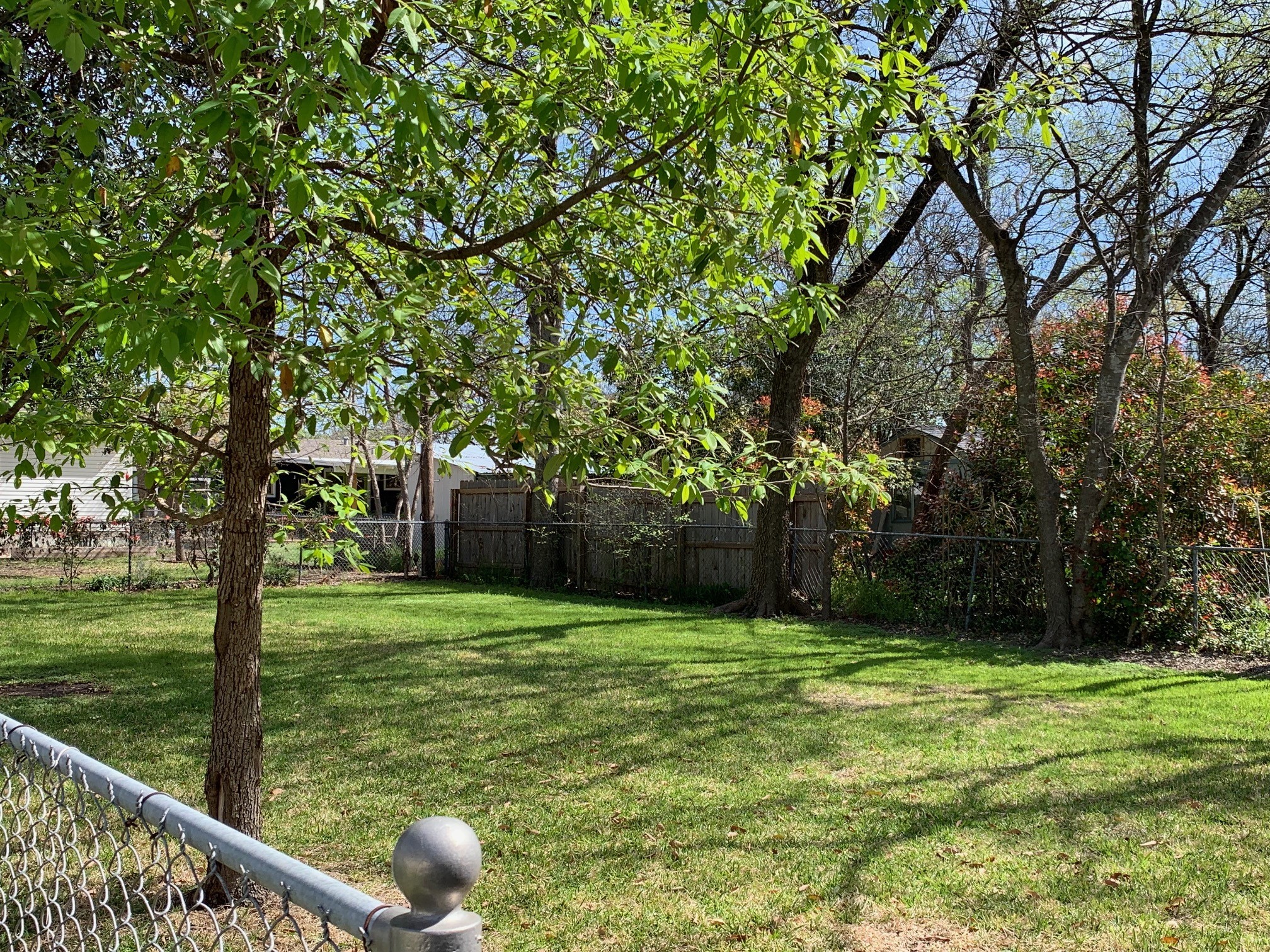 1708 Madison Avenue Austin, TX 78757 - Photo 13 of 20 a backyard of a house with lots of green space and fountain