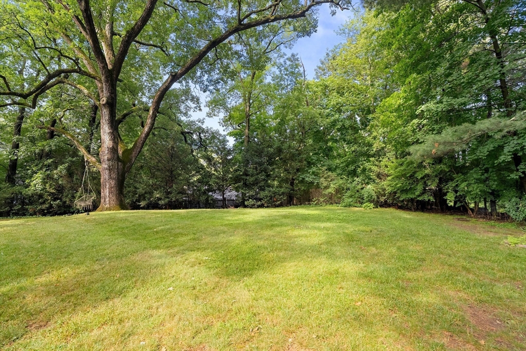 44 Windemere Road Wellesley, MA 02481 - Photo 38 of 39