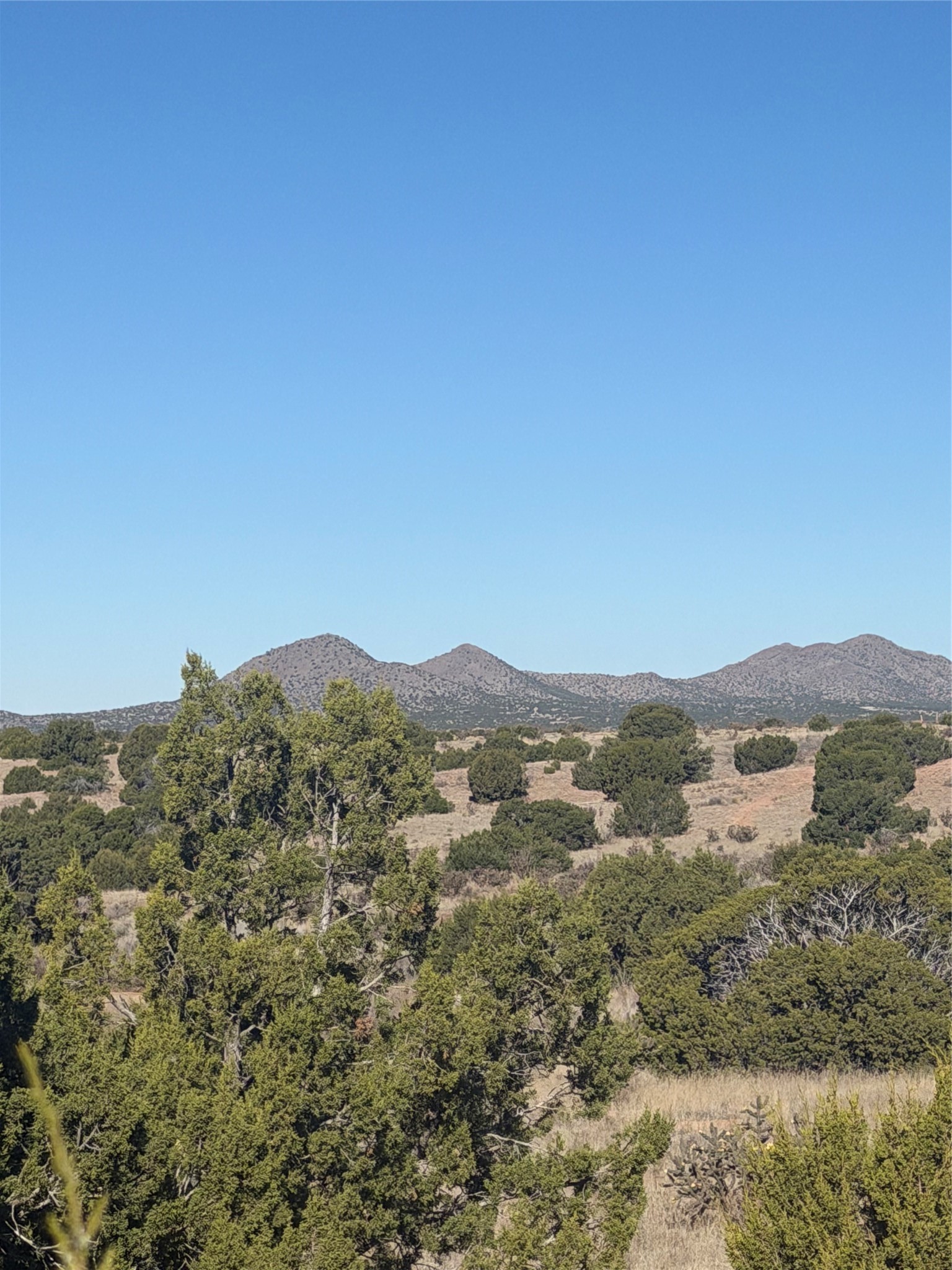 0 Crazy Rabbit Drive Santa Fe, NM 87508 - Photo 22 of 25