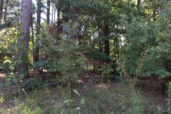 $15,000 | Lot 24 Briar Grove, Murchison, TX 75778