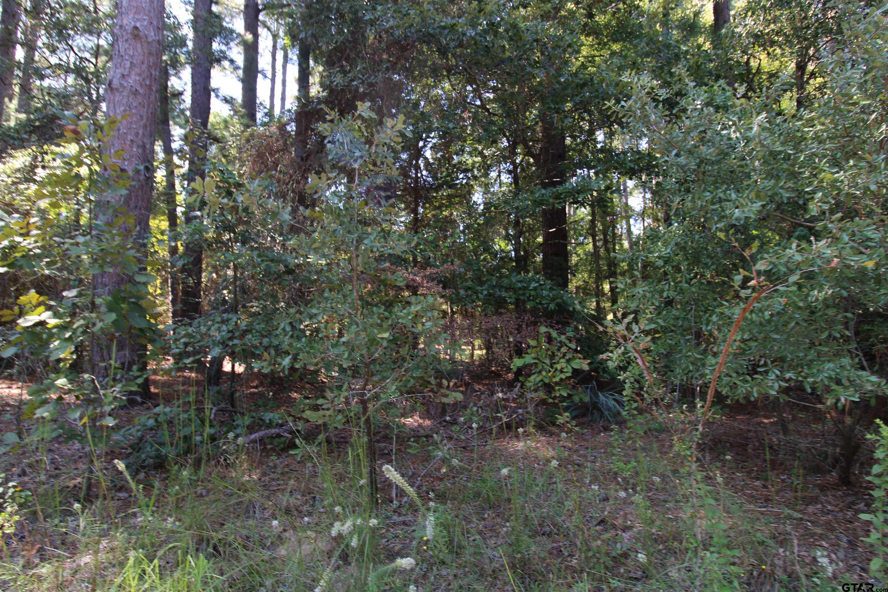 Lot 24 Briar Grove Murchison, TX 75778 - Photo 3 of 6 a view of forest