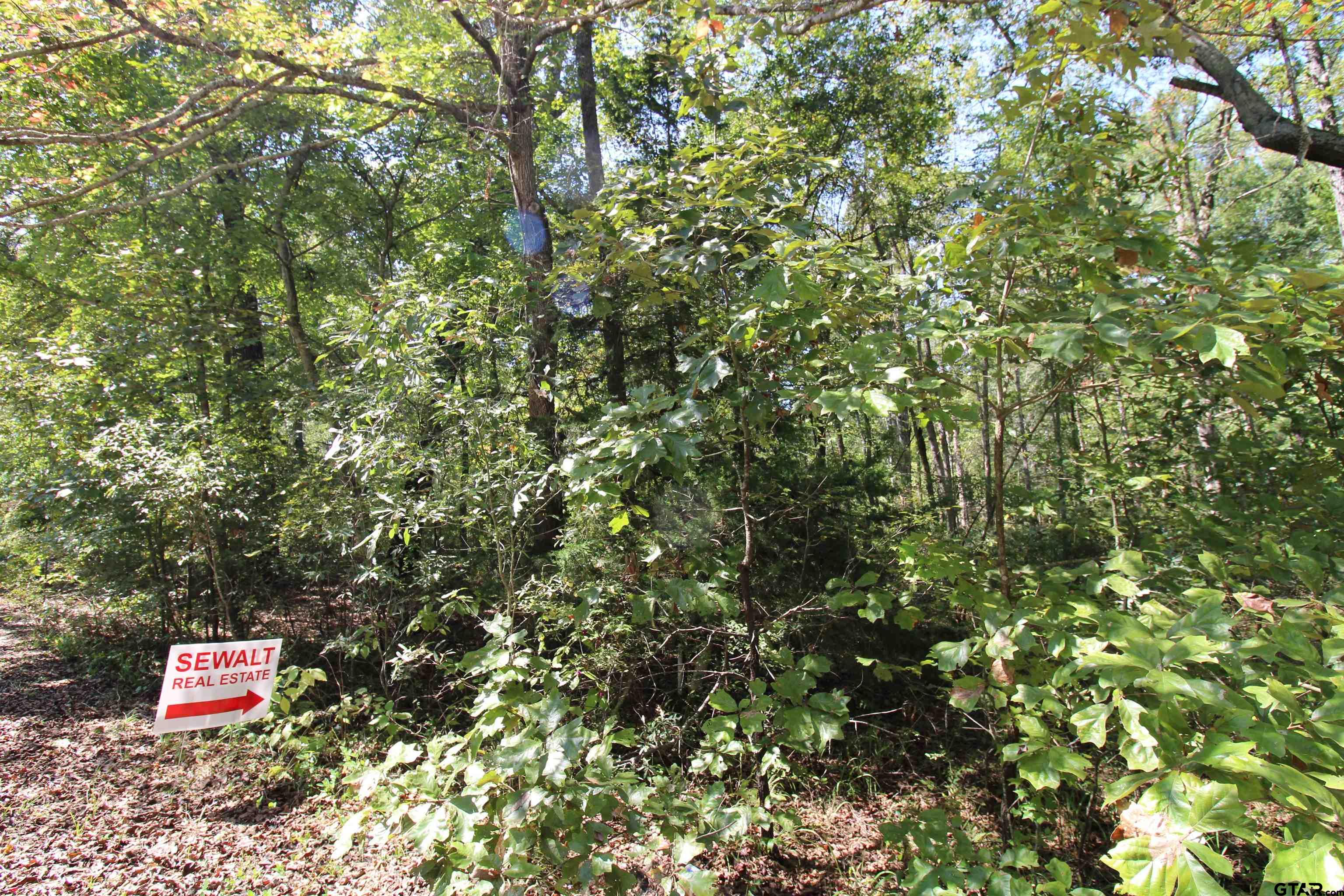Lot 24 Briar Grove Murchison, TX 75778 - Photo 4 of 6 a close up of a tree