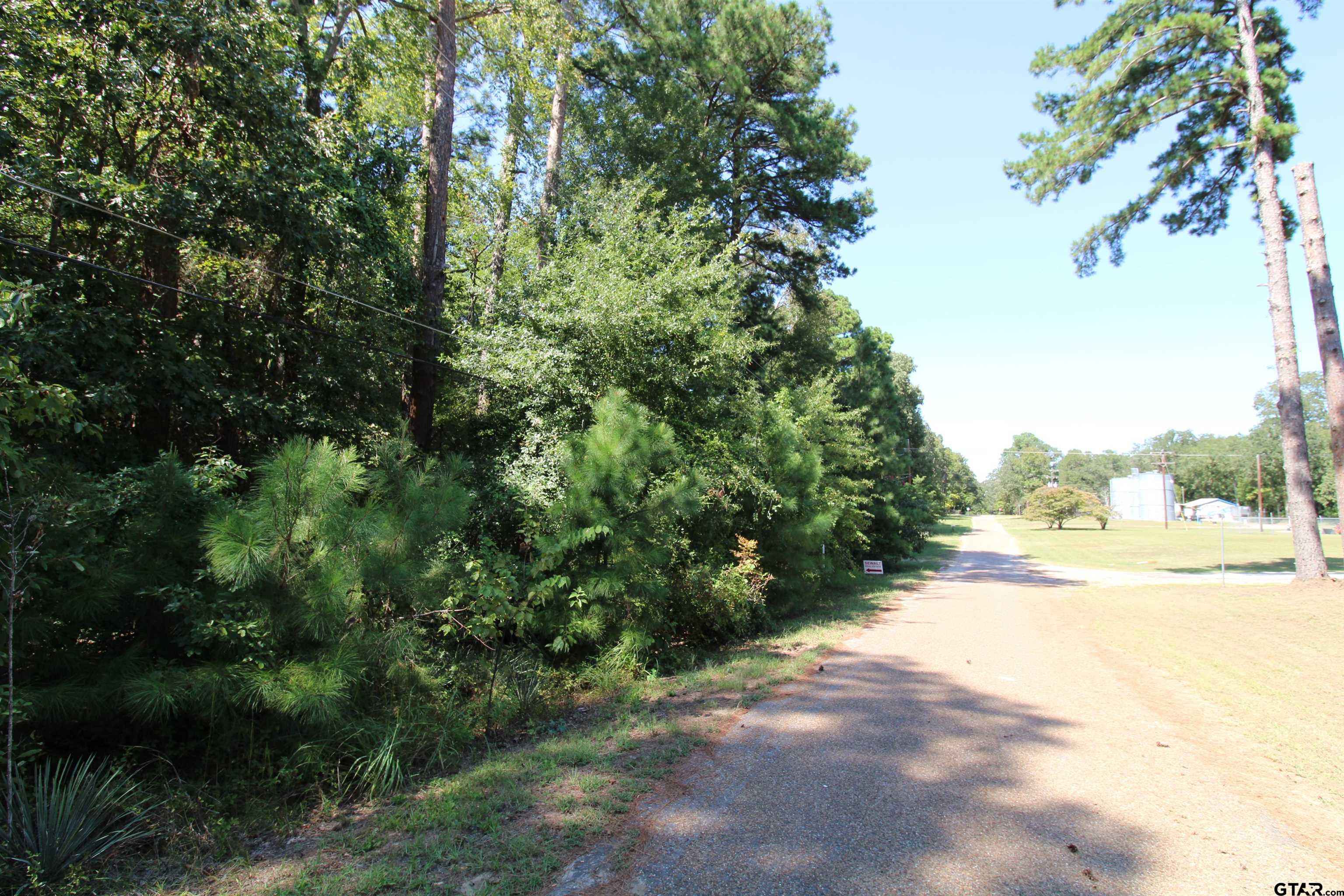 Lot 24 Briar Grove Murchison, TX 75778 - Photo 6 of 6 a view of a yard with plants and a large trees
