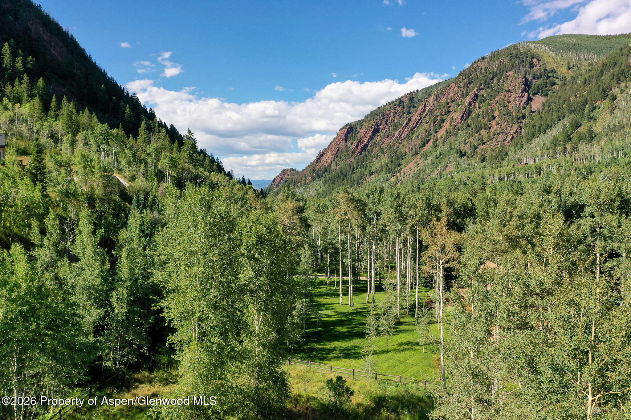 285 Conundrum Creek Road Aspen, CO 81611 - Photo 2 of 35 a view of a garden