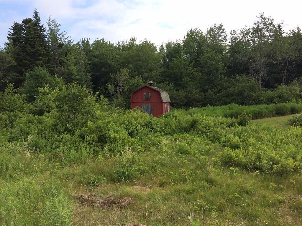 143 Tremont Road Bass Harbor, ME 04653 - Photo 21 of 29 Back yard and field with out...