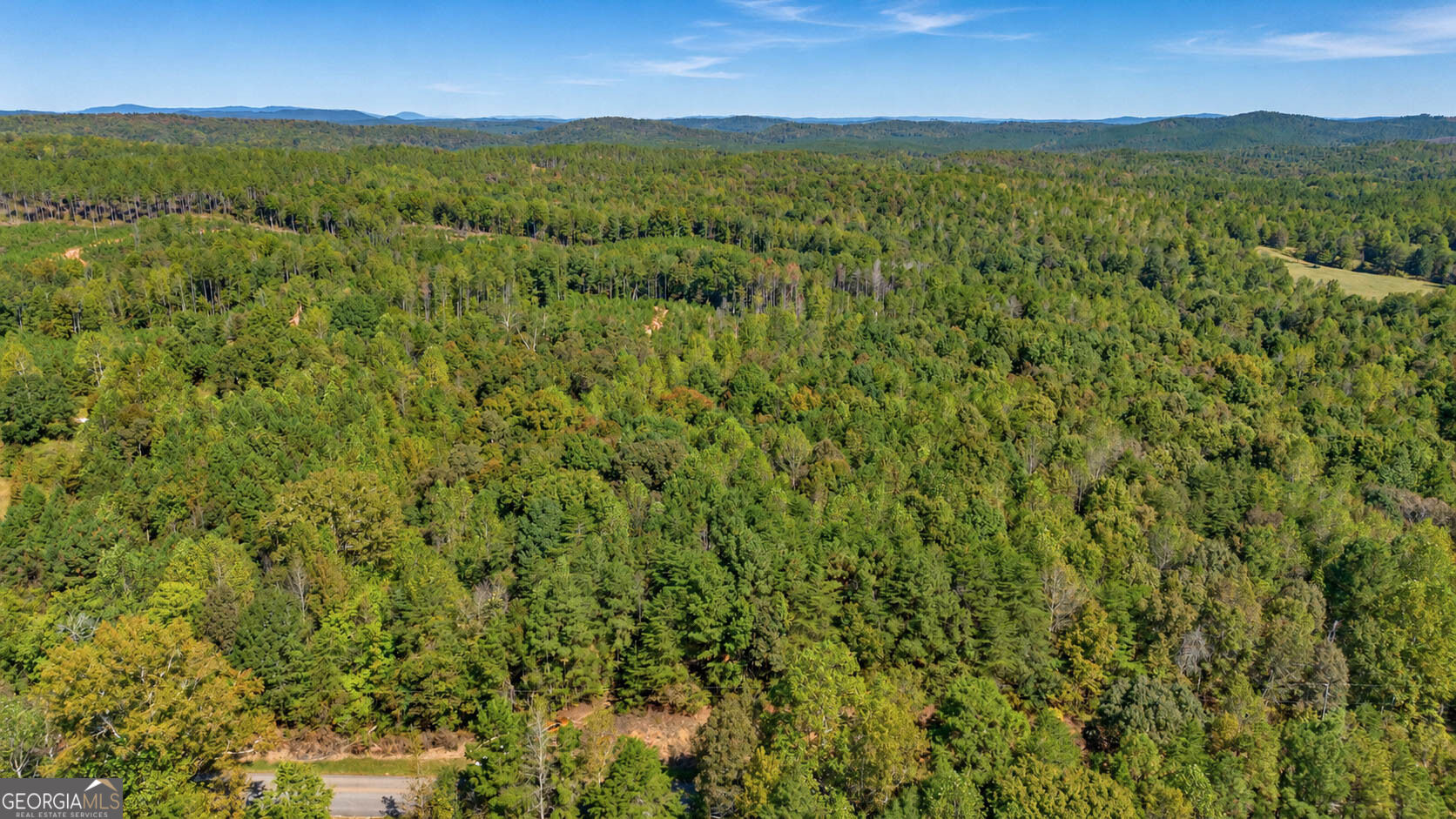 1 Lees Bridge Road Delta, AL 36258 - Photo 20 of 23 Gallery Image 20