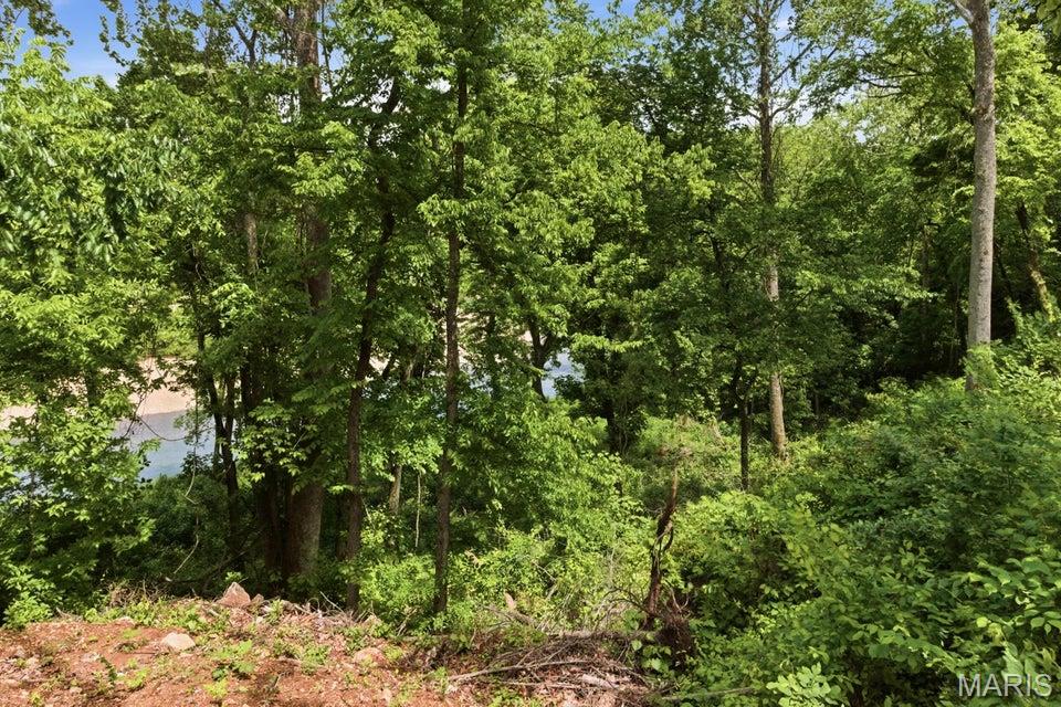 18418 Circle B Road Eminence, MO 65466 - Photo 57 of 62