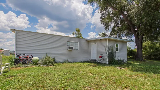 a view of a backyard with plants and a large tree