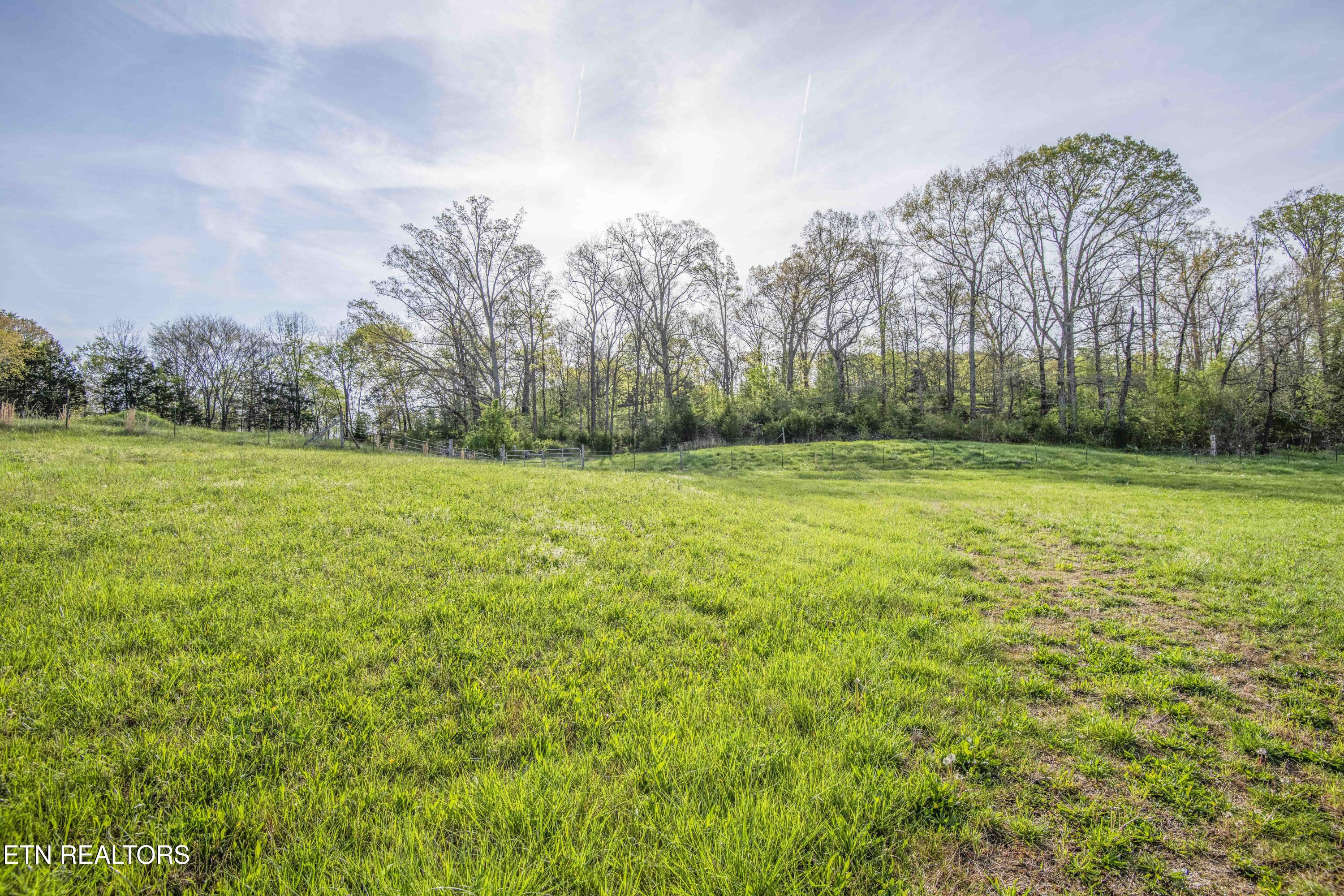 Lot 2 Richland Road Blaine, TN 37709 - Photo 3 of 31 yard 3_1