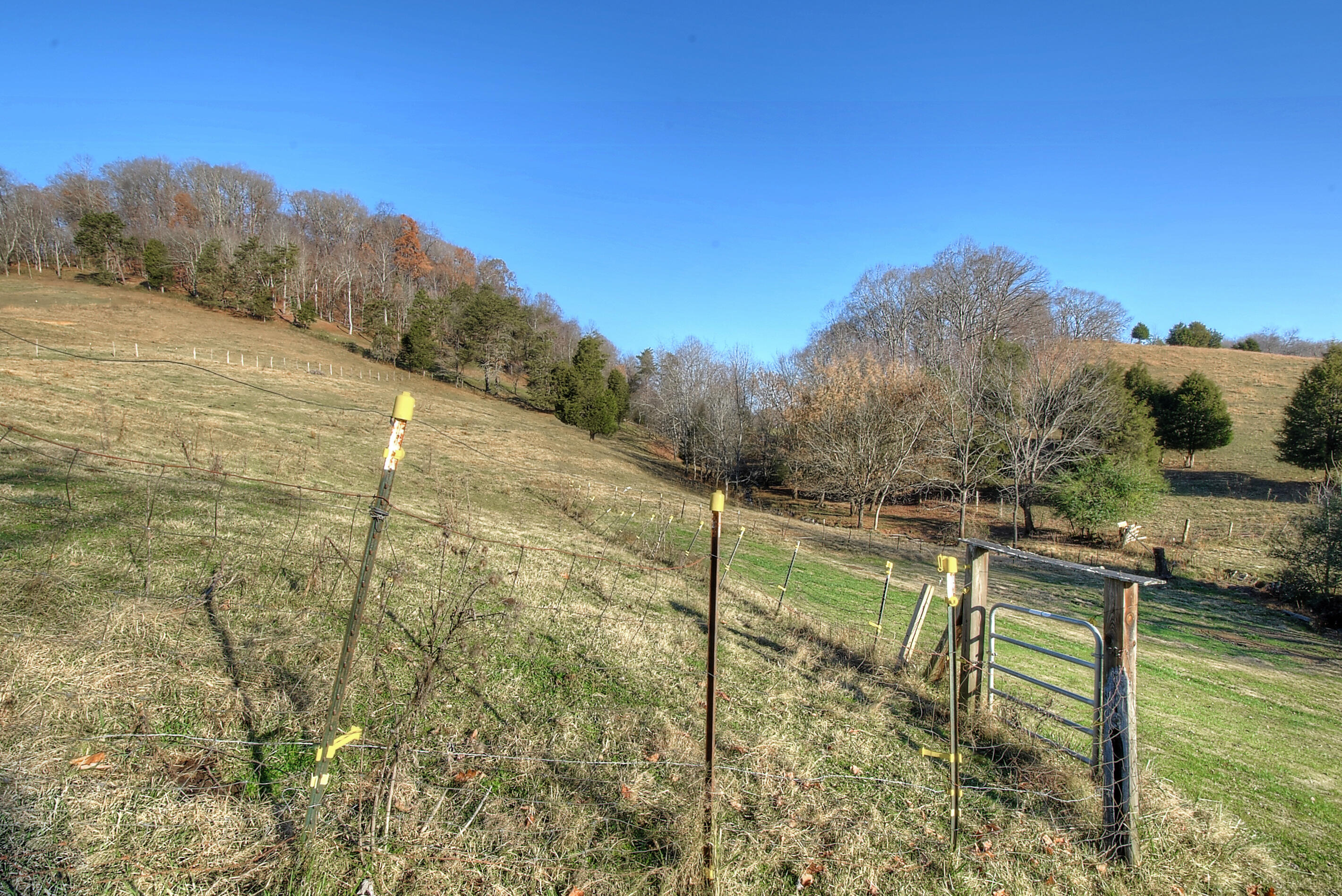 391 Cold Springs Road Blountville, TN 37617 - Photo 56 of 102 DSC_0436_37_38_39_40_41