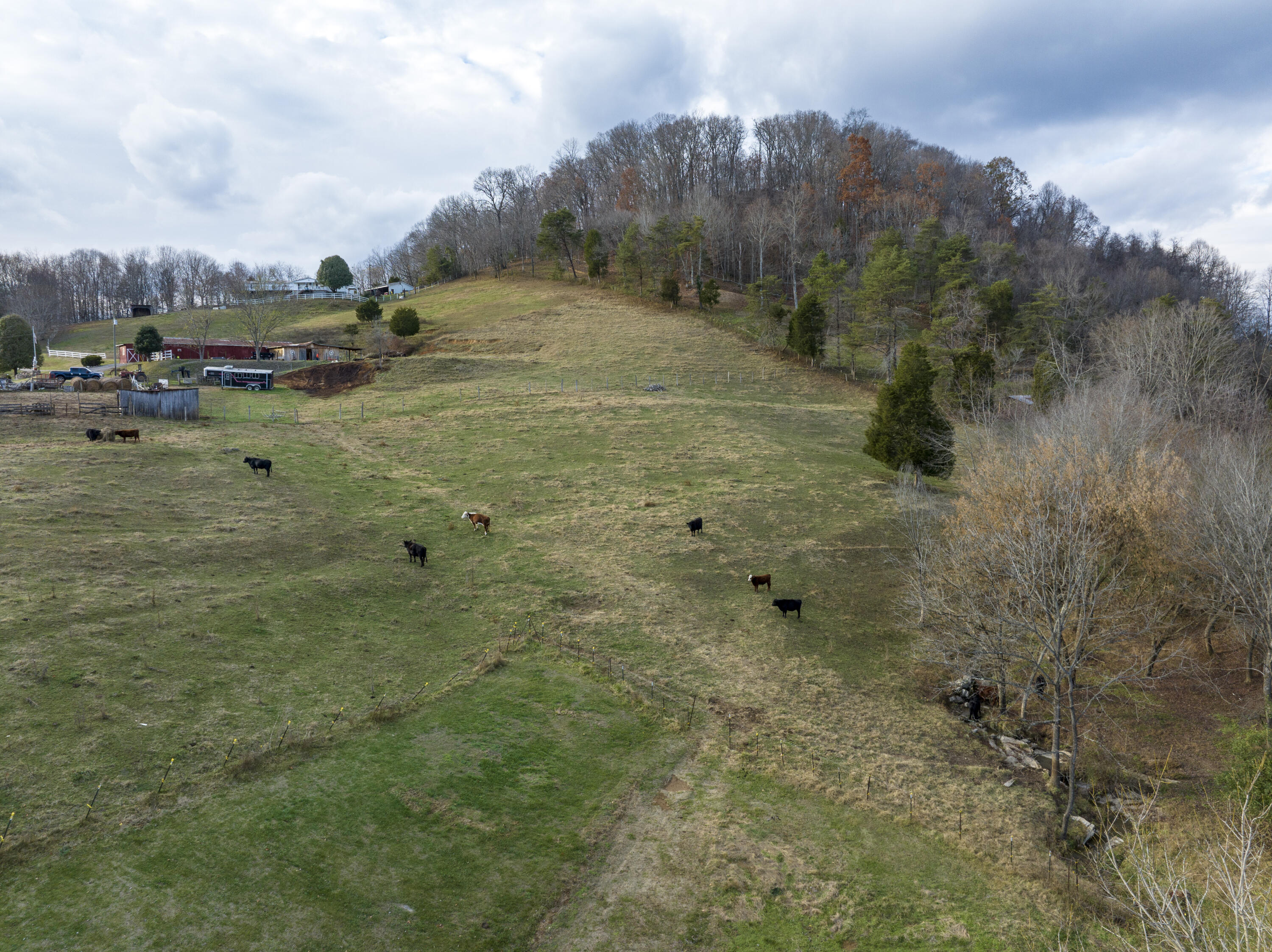 391 Cold Springs Road Blountville, TN 37617 - Photo 98 of 102 Coal--35