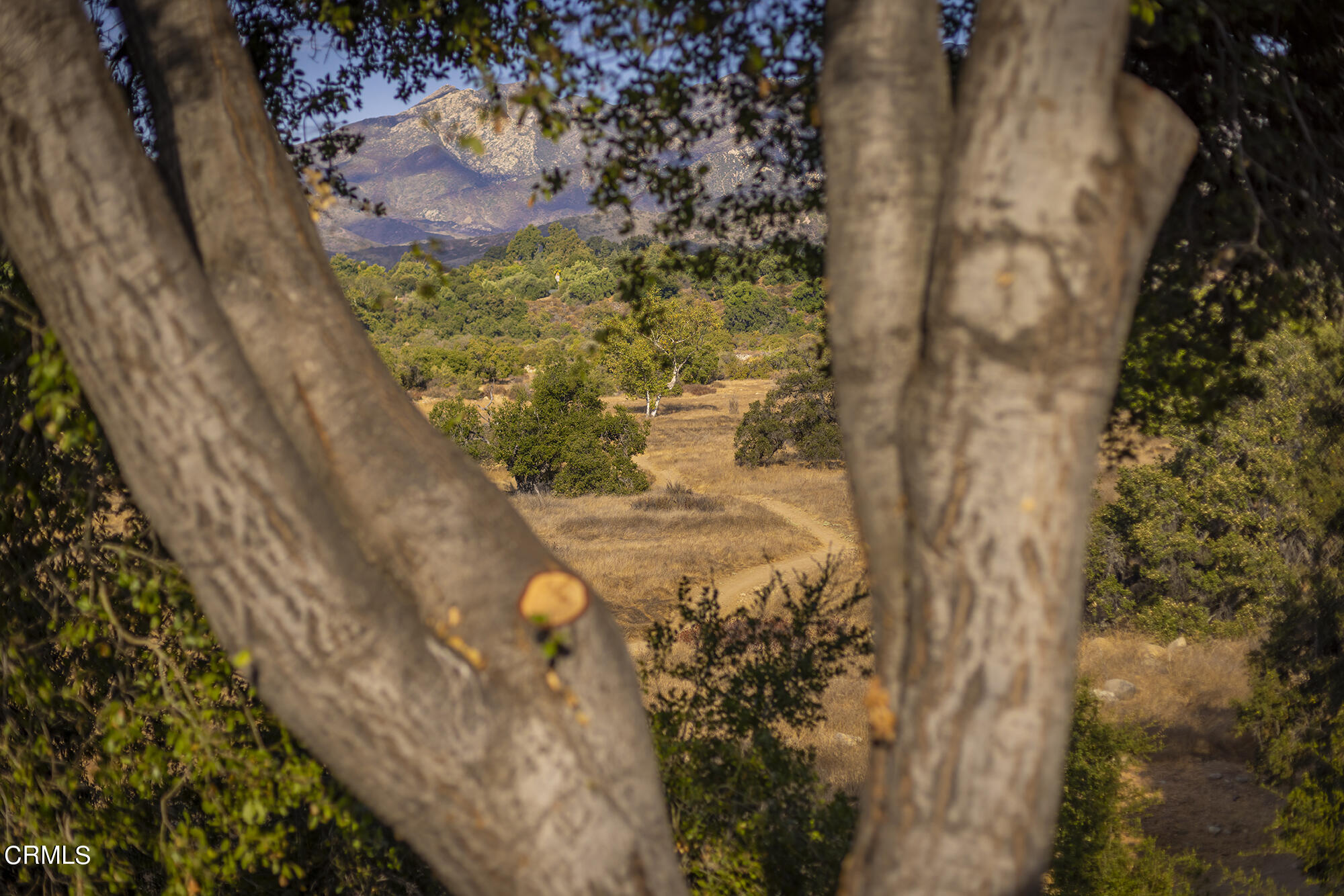 1273 South Rice Road, Unit 83 Ojai, CA 93023 - Photo 33 of 38 S8C_ 1273 S Rice 83_view4