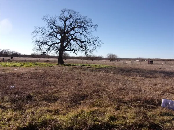 a view of a yard with an trees