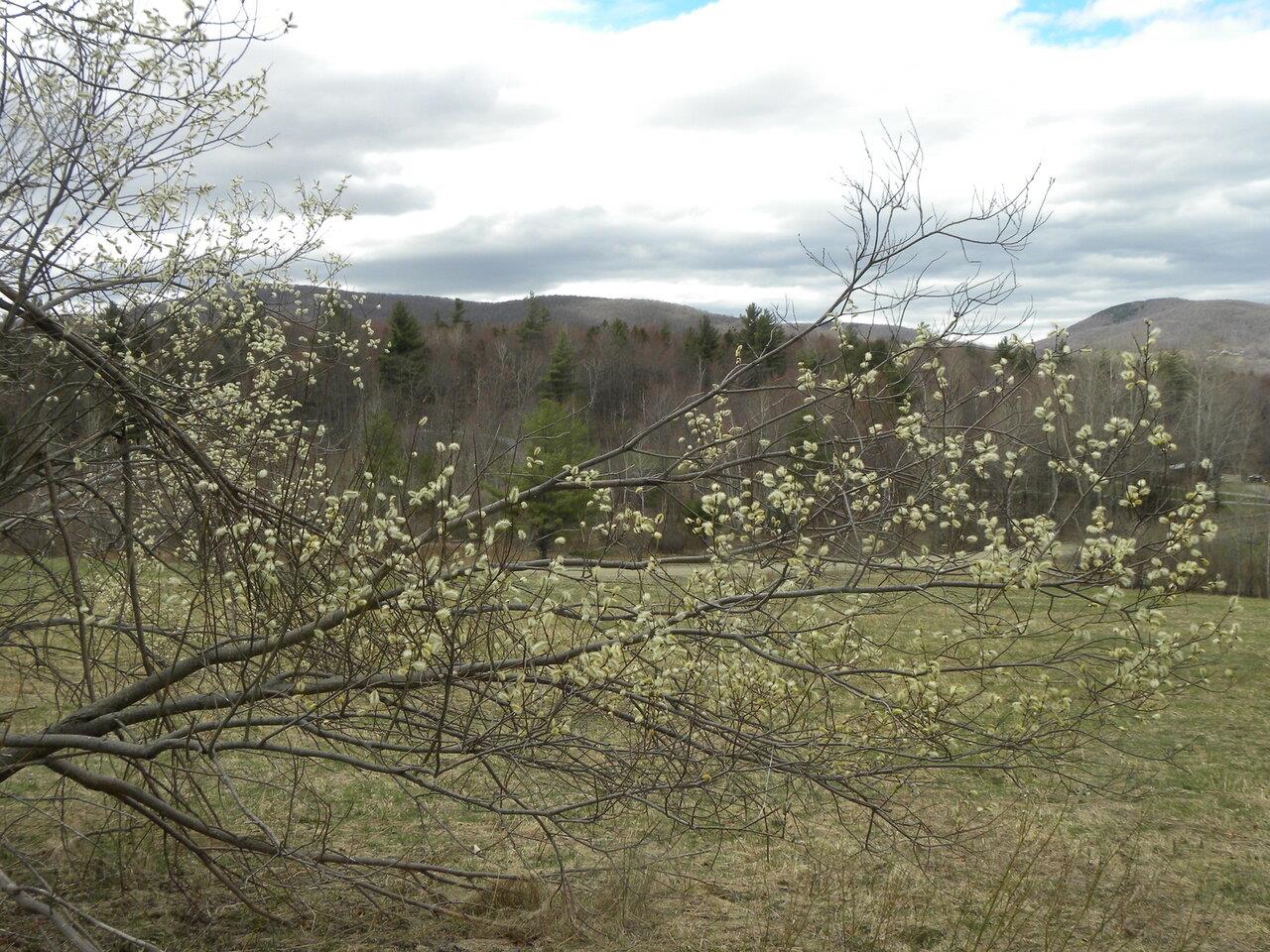Lot 3 Weaver Road Huntington, VT 05462 - Photo 1 of 10 Gallery Image 1